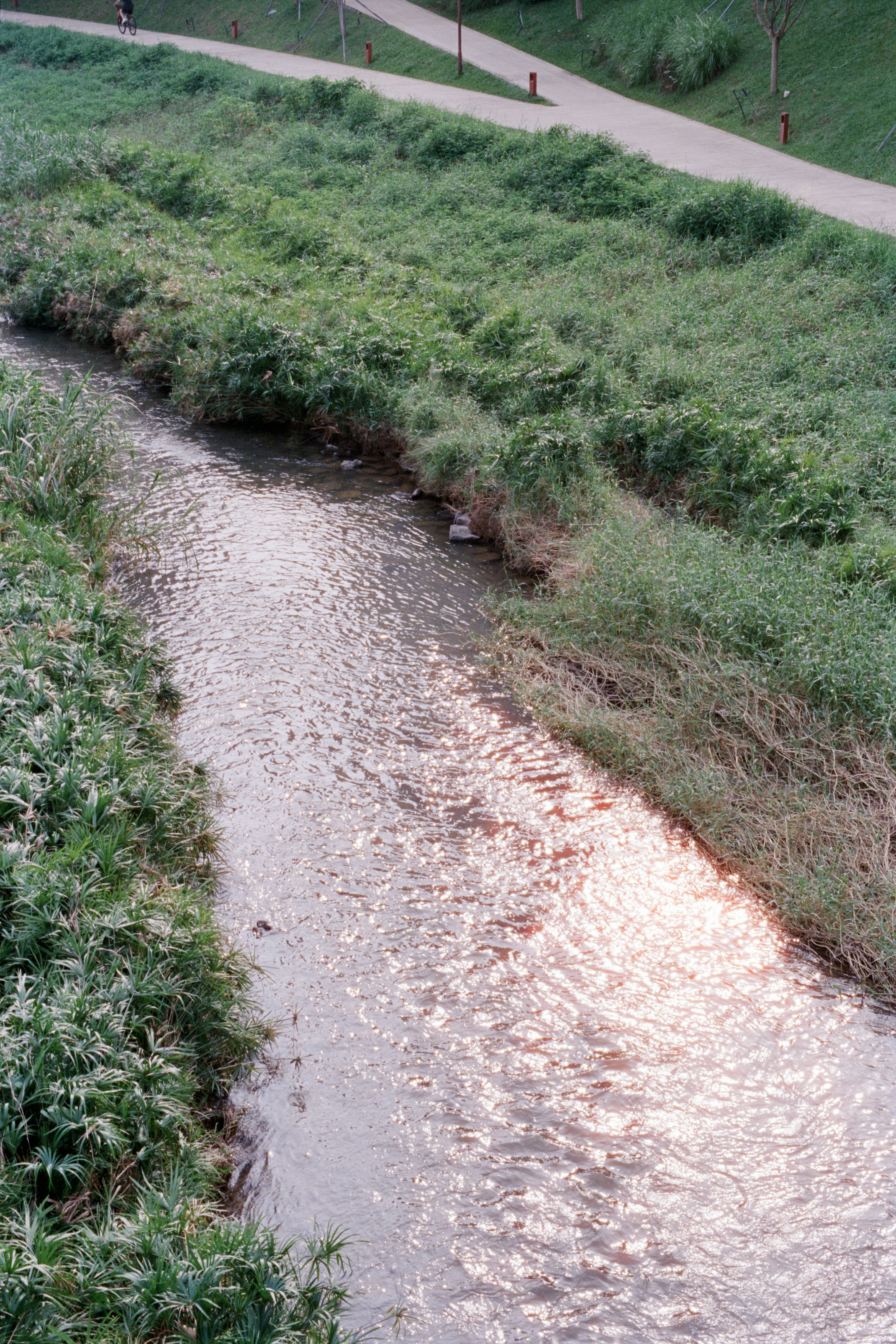 Photo by zhenyao_photo