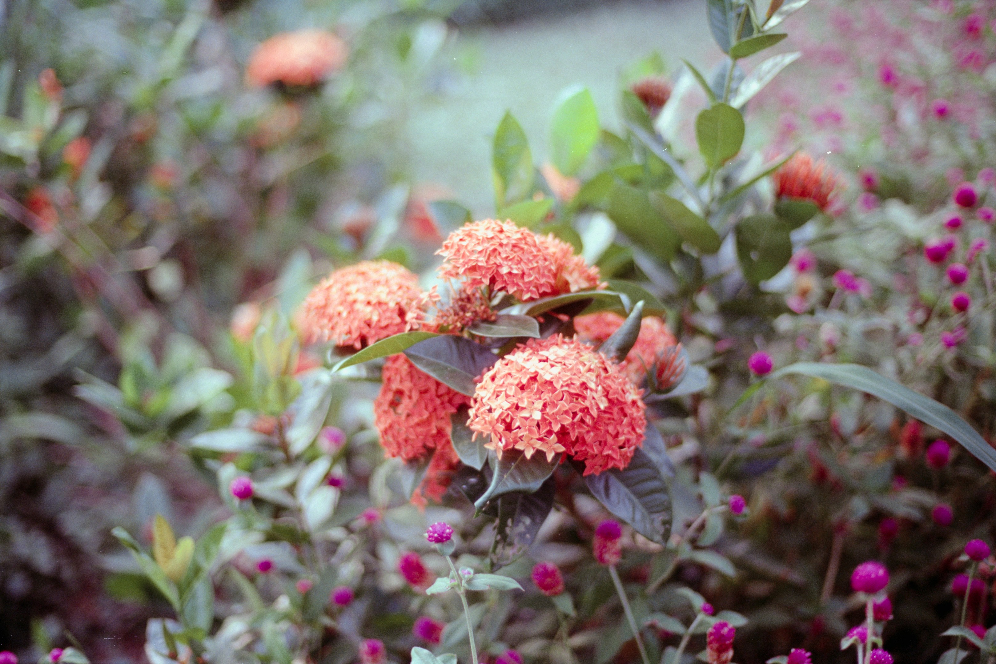 Photo by zhenyao_photo