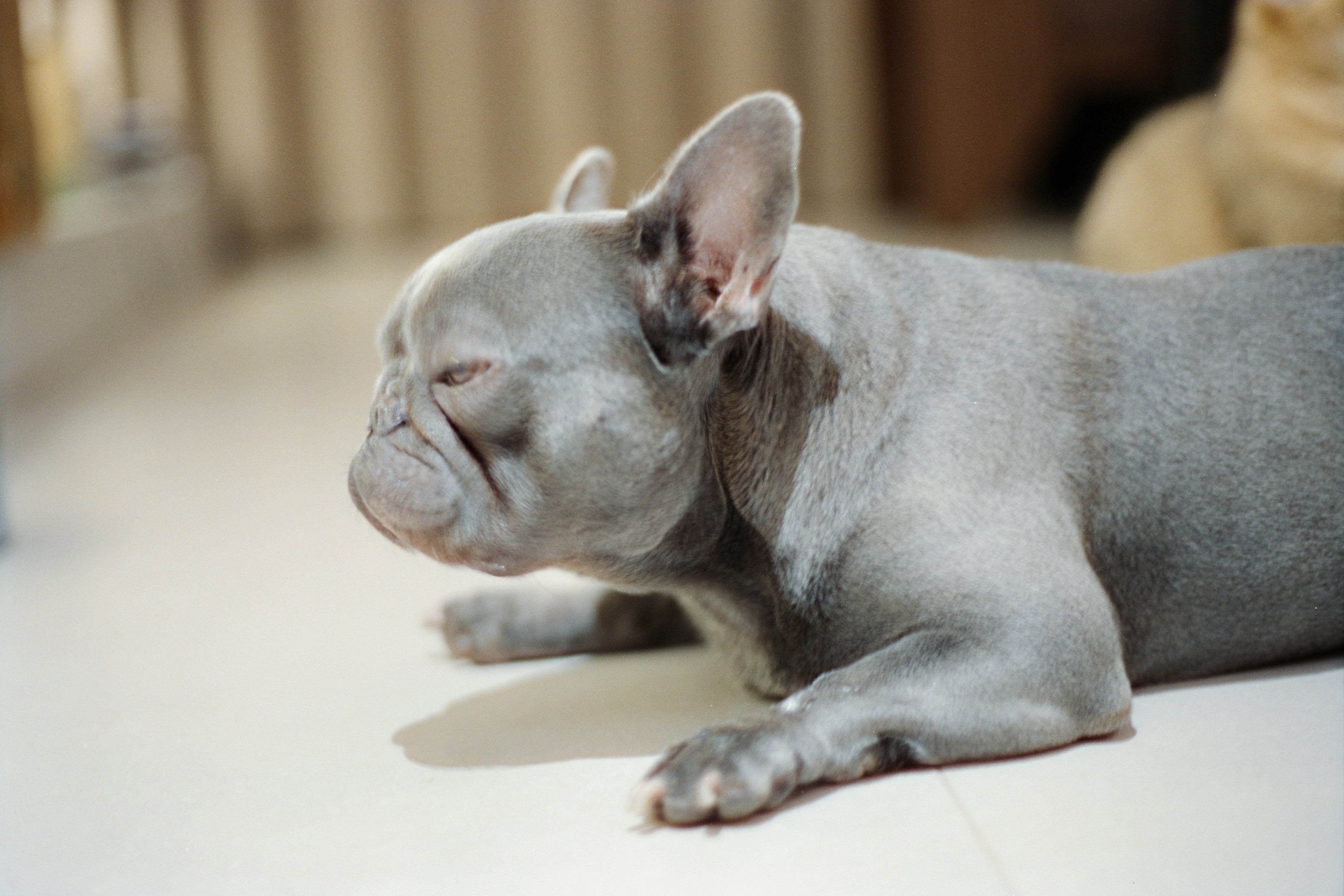 Photo by zhenyao_photo