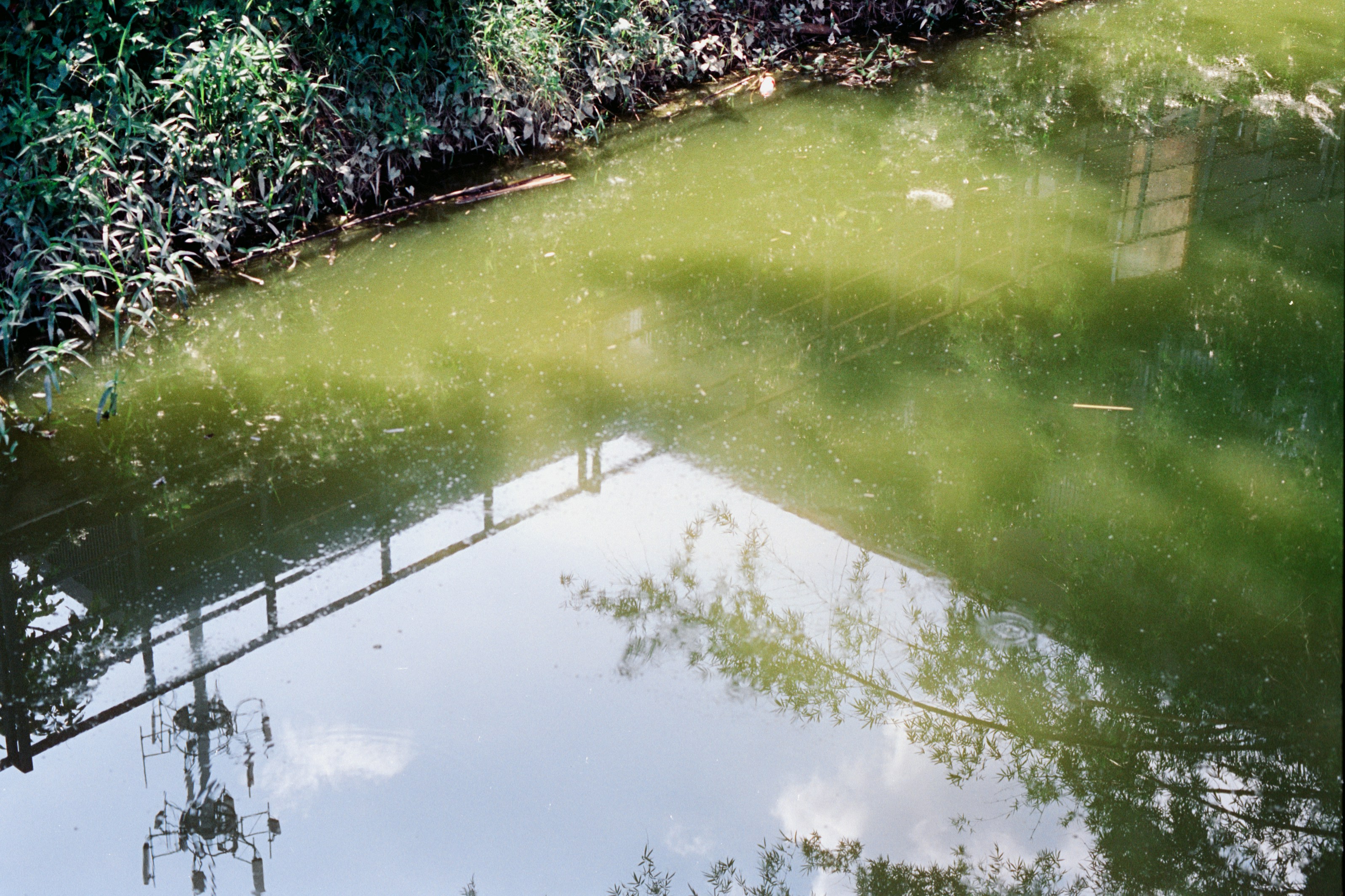 Photo by zhenyao_photo