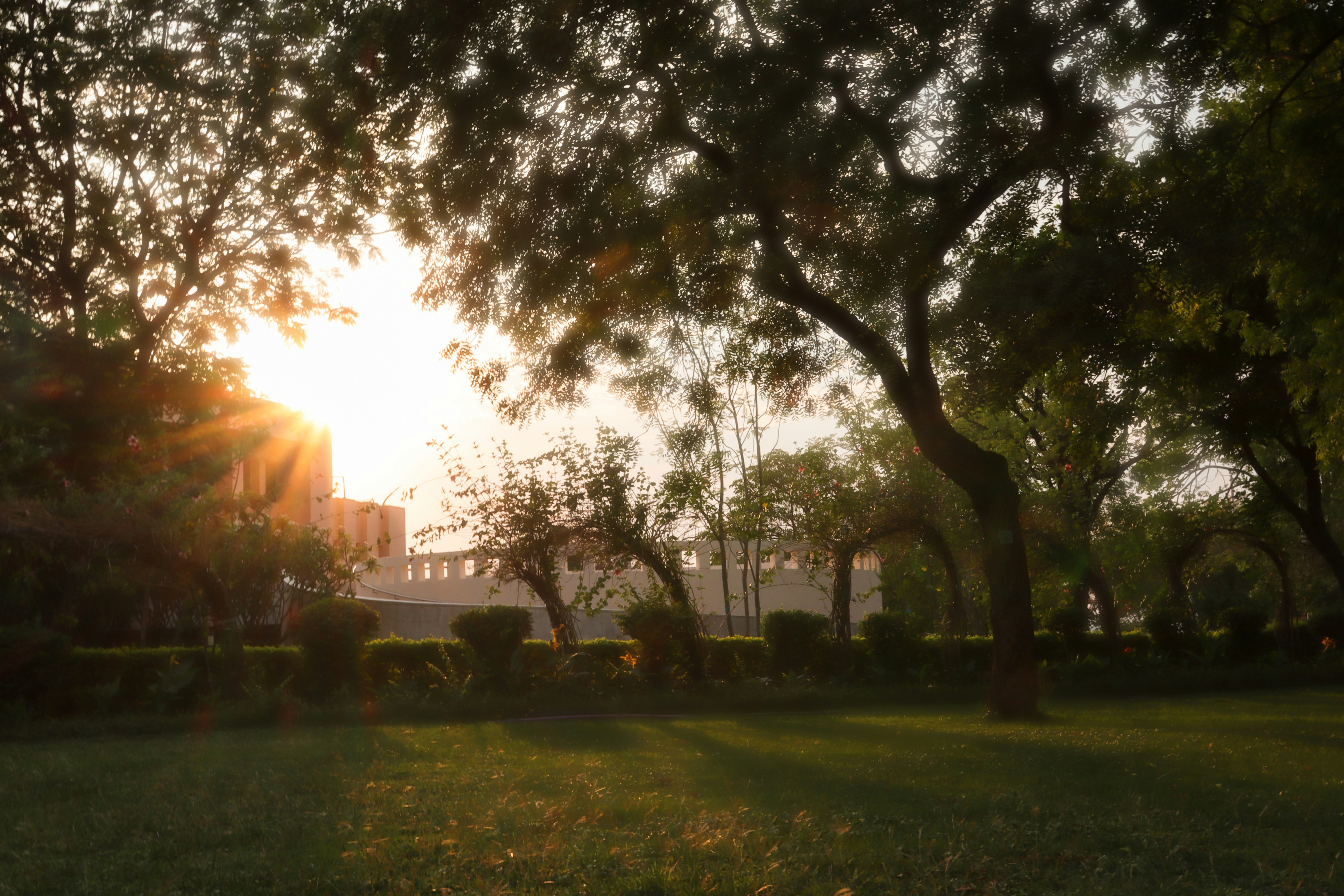 Photo by harsh_aryan