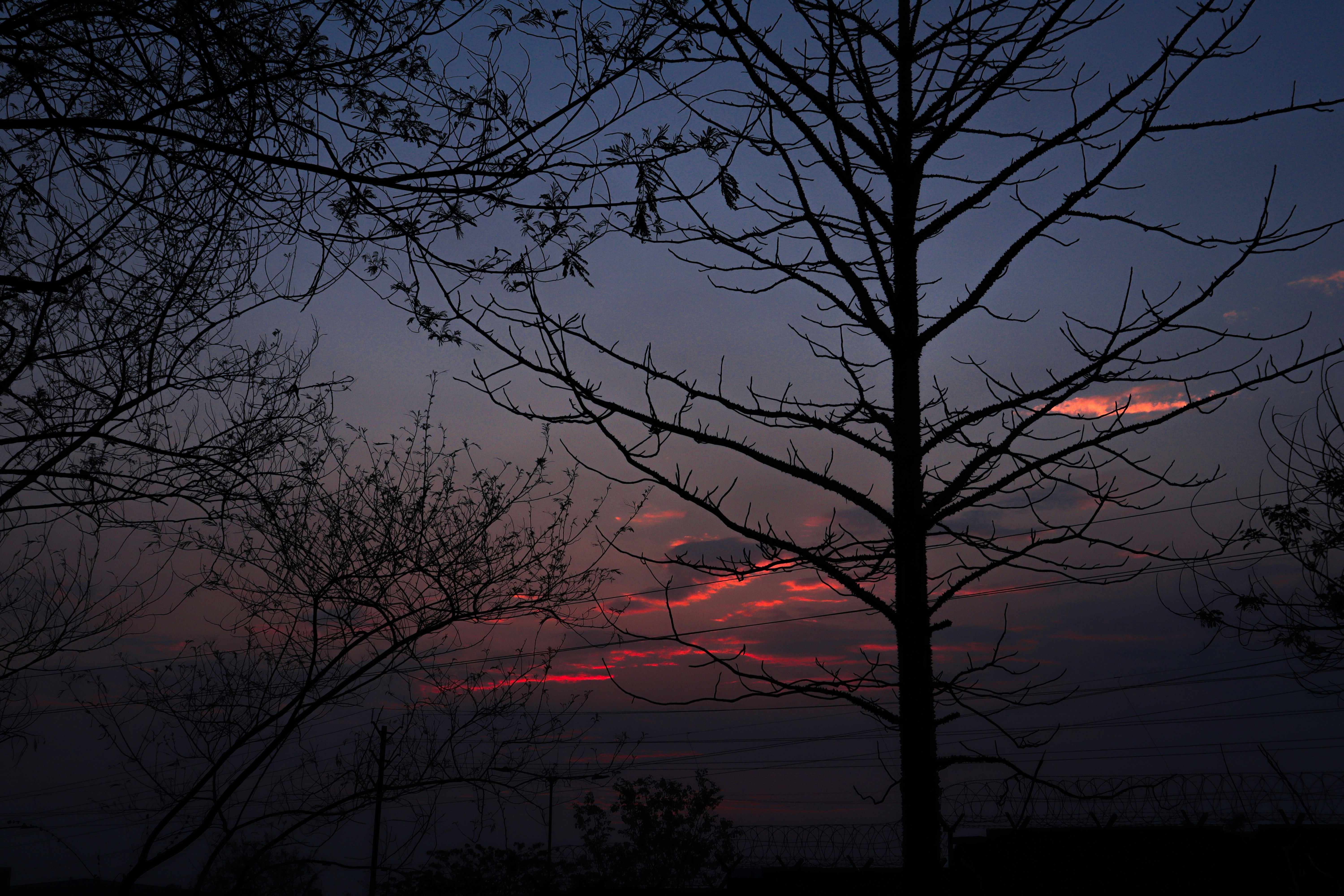 Photo by harsh_aryan