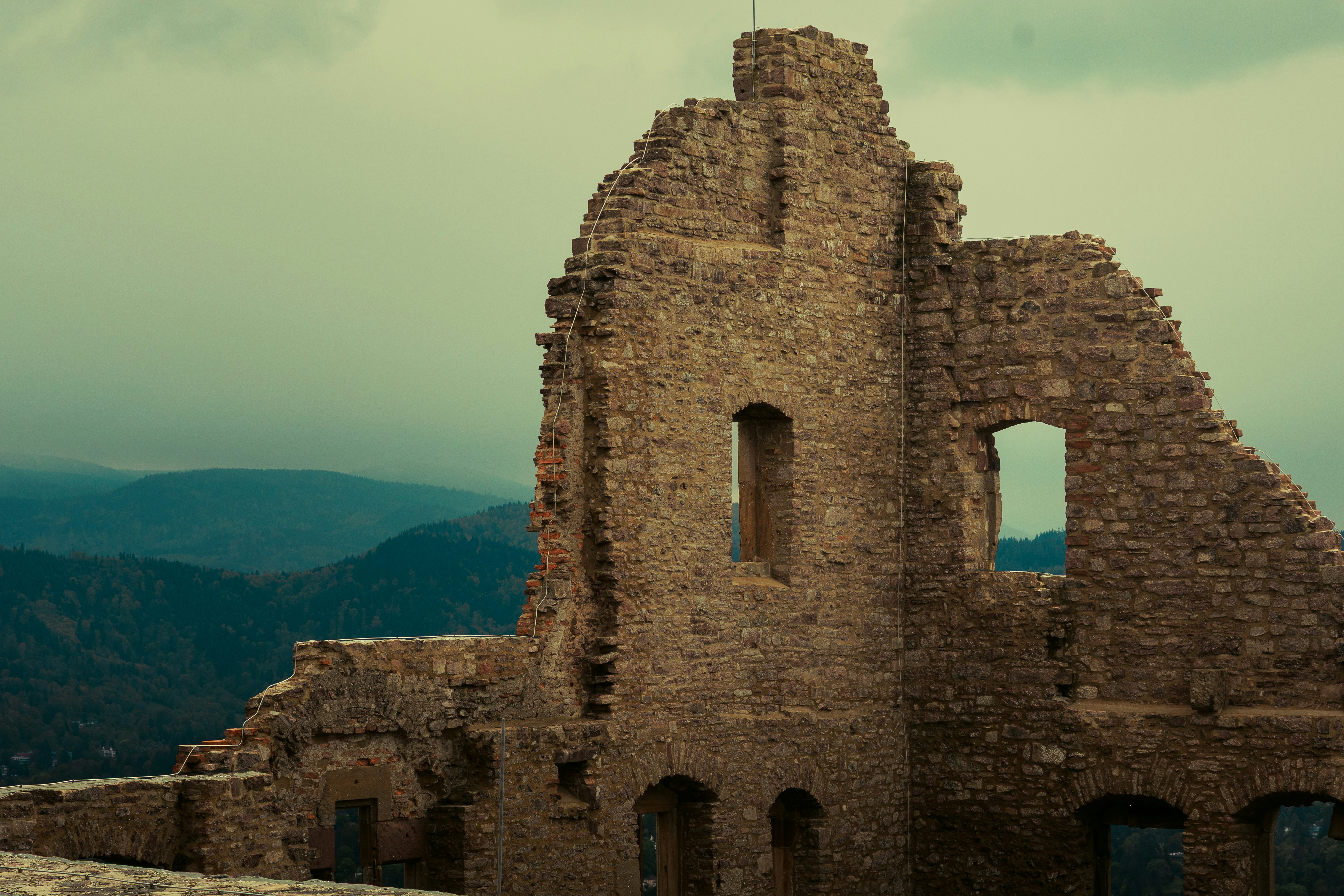 Photo by amanpreet_2709