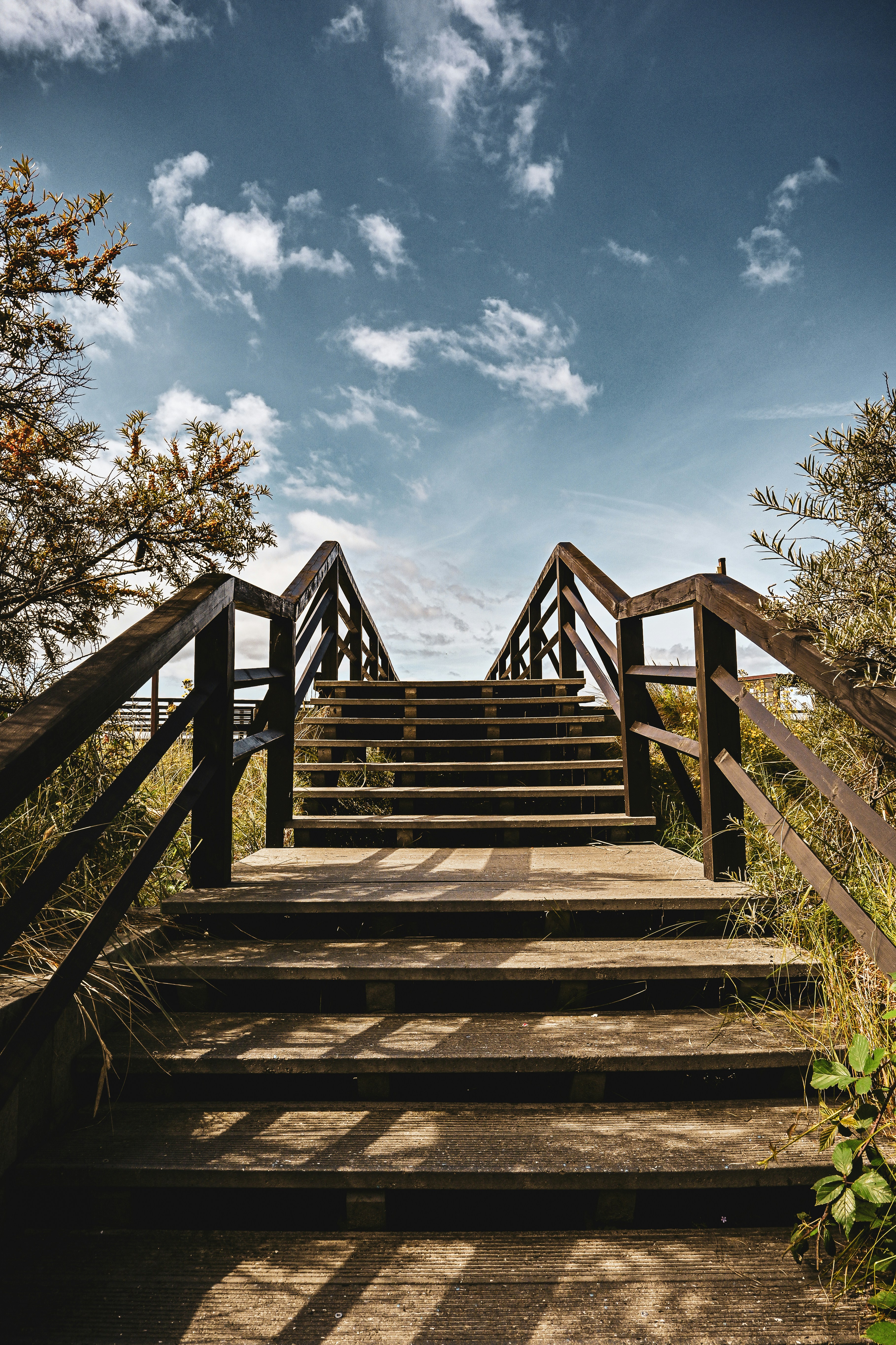 Photo by sylwiabartyzel