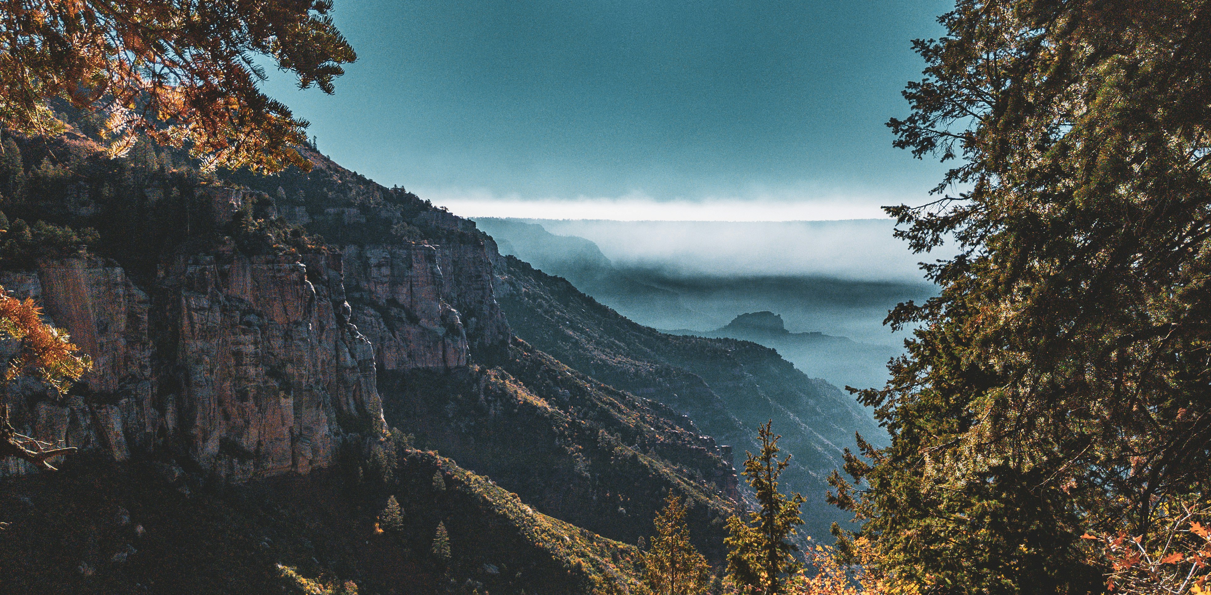 North Rim near Coconino Overlook, North Kaibab Trail.