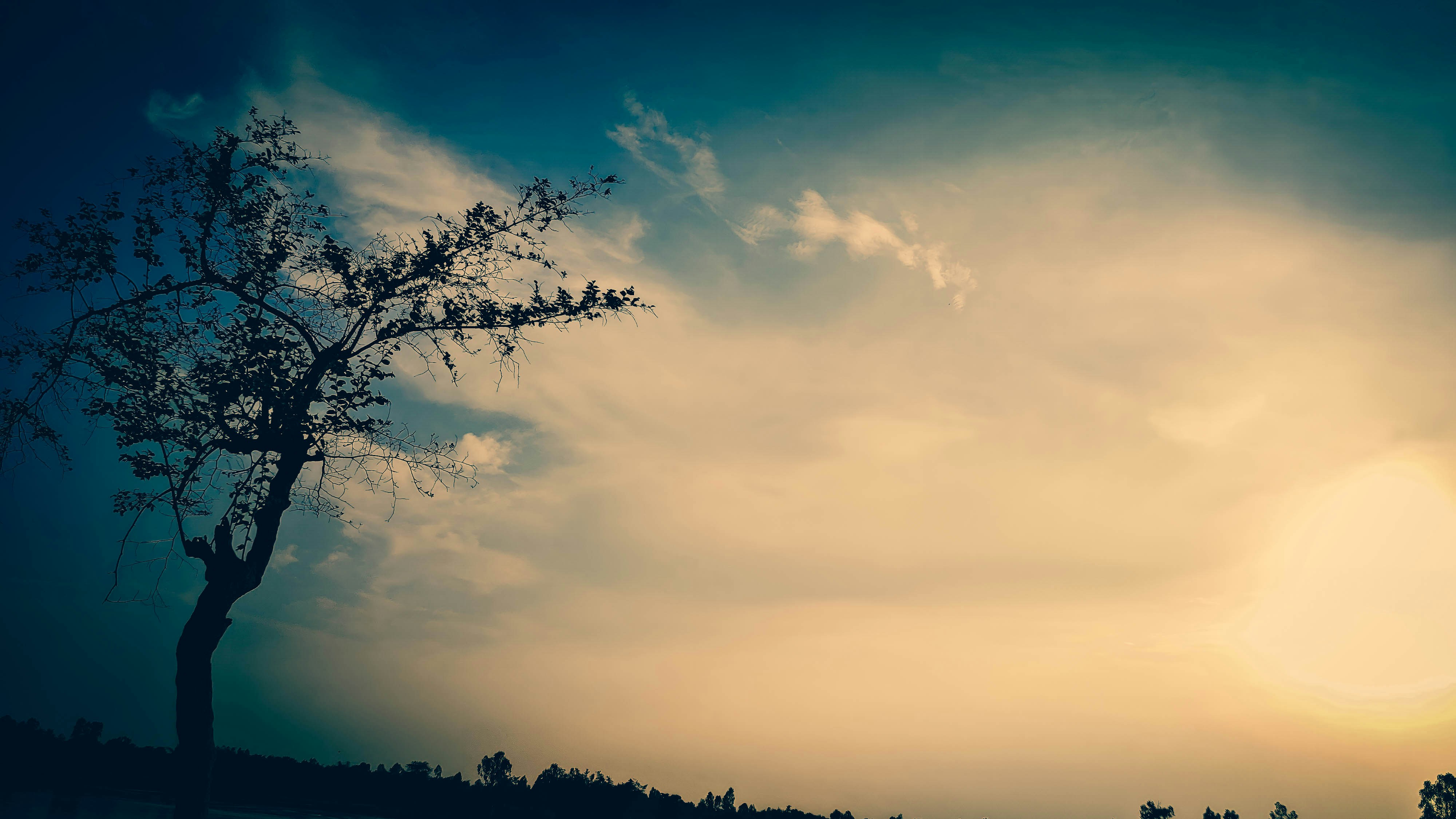 Photo by kazalmahmood