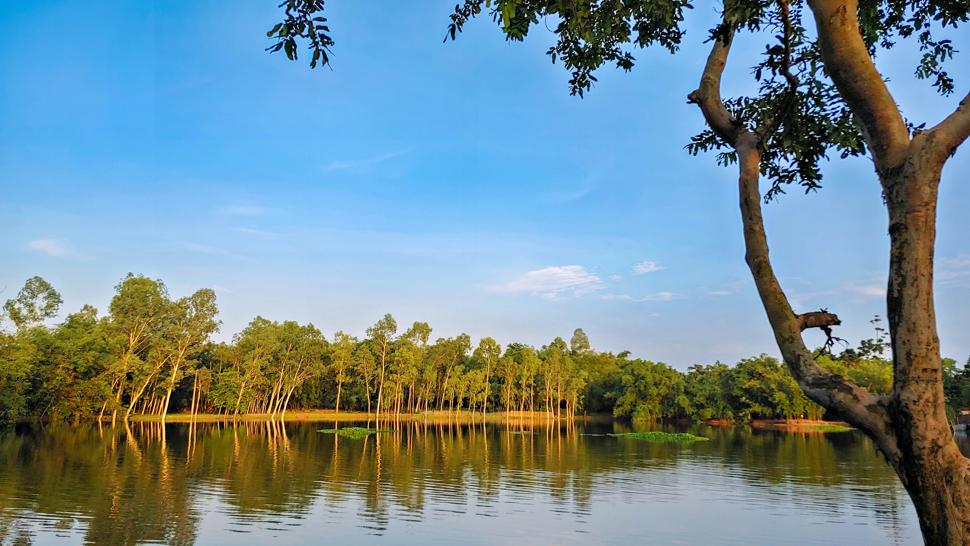 Golden Light on the Ghagot River Bank, Rangpur
