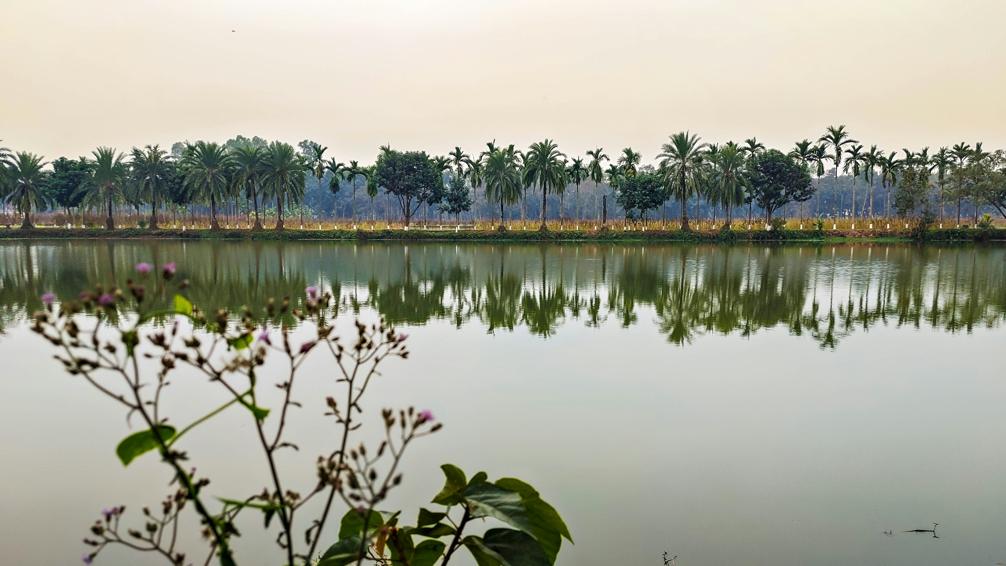 Photo by kazalmahmood