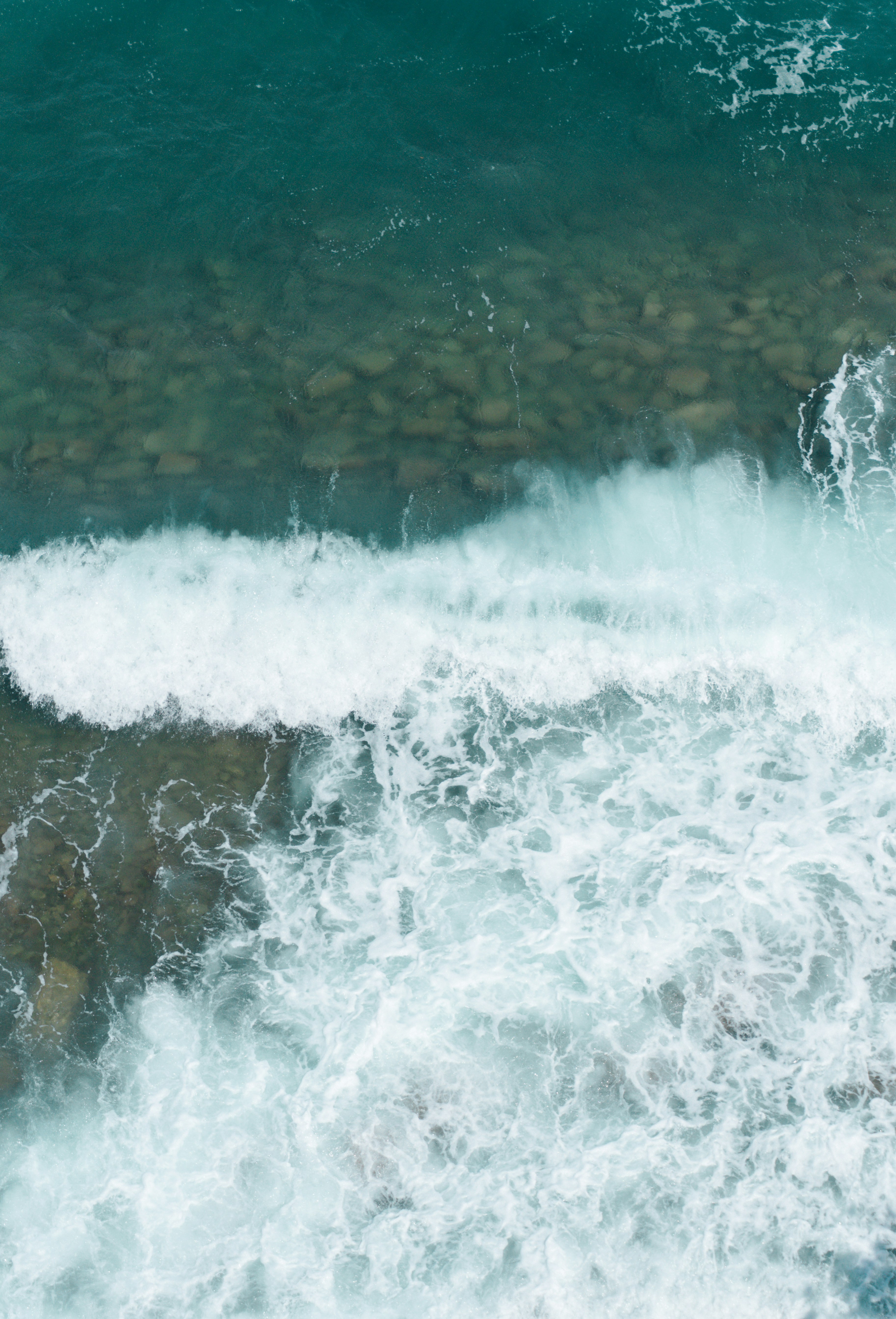 Photo by raymondpetrik