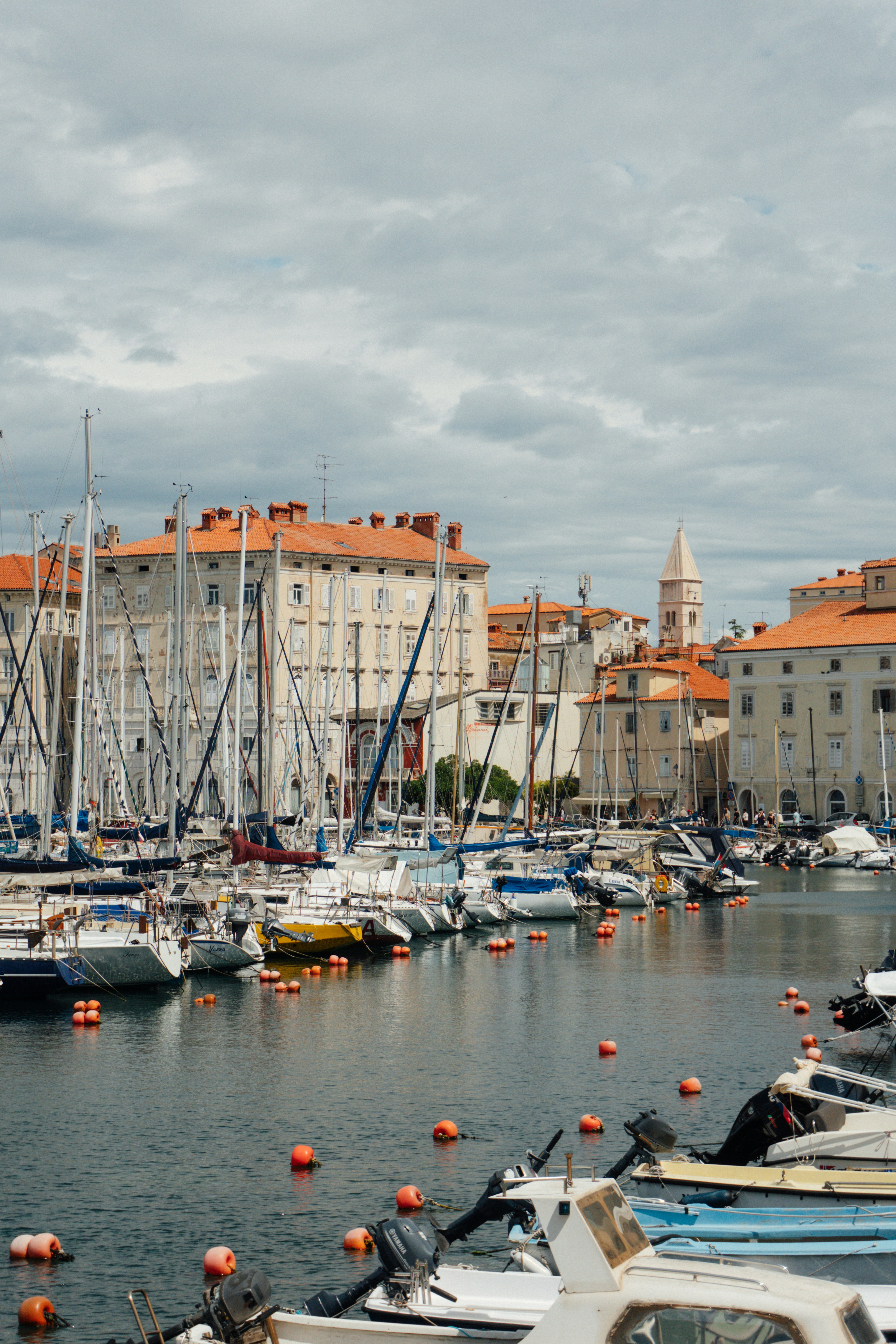 Photo by raymondpetrik