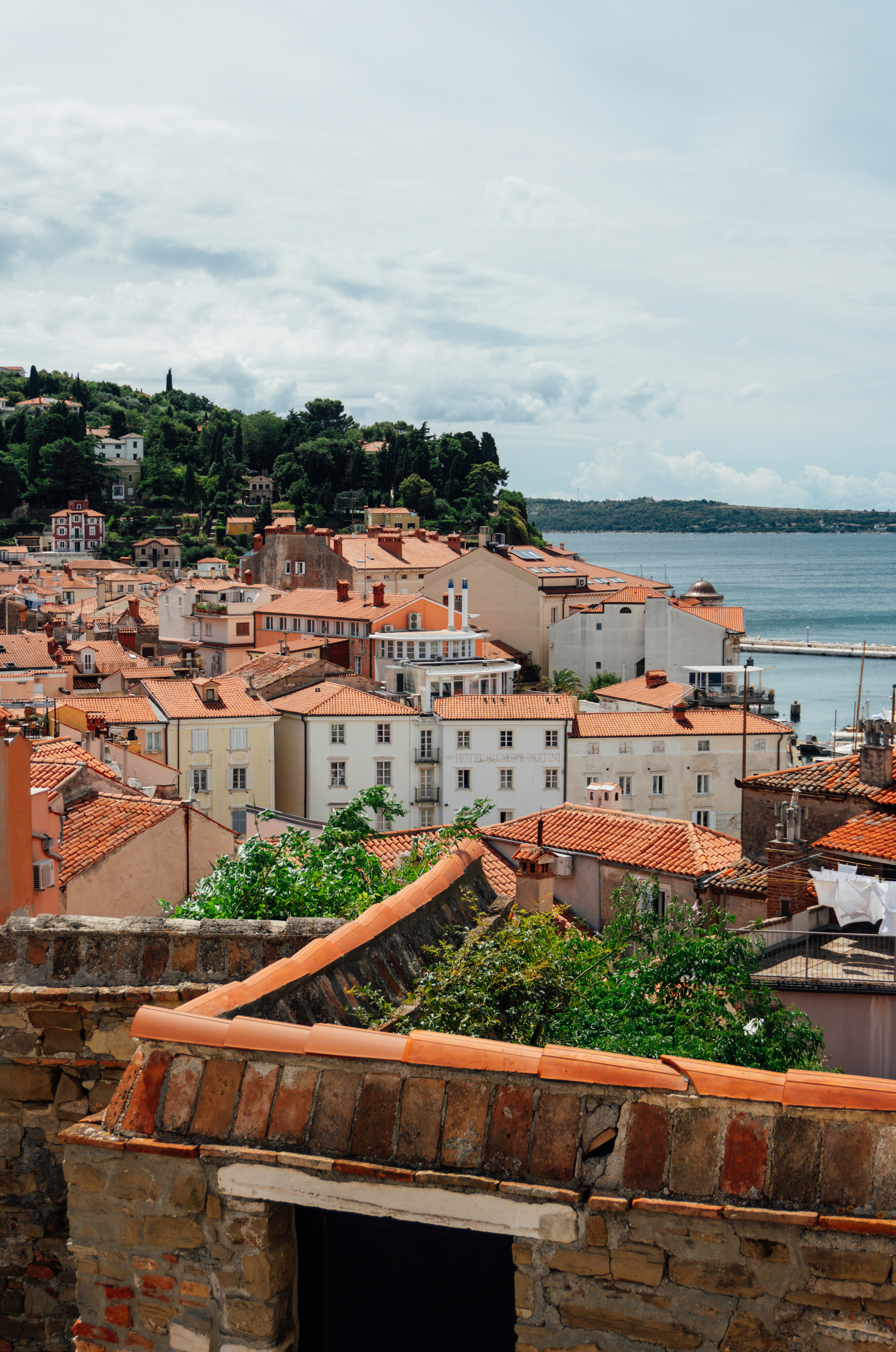 Photo by raymondpetrik