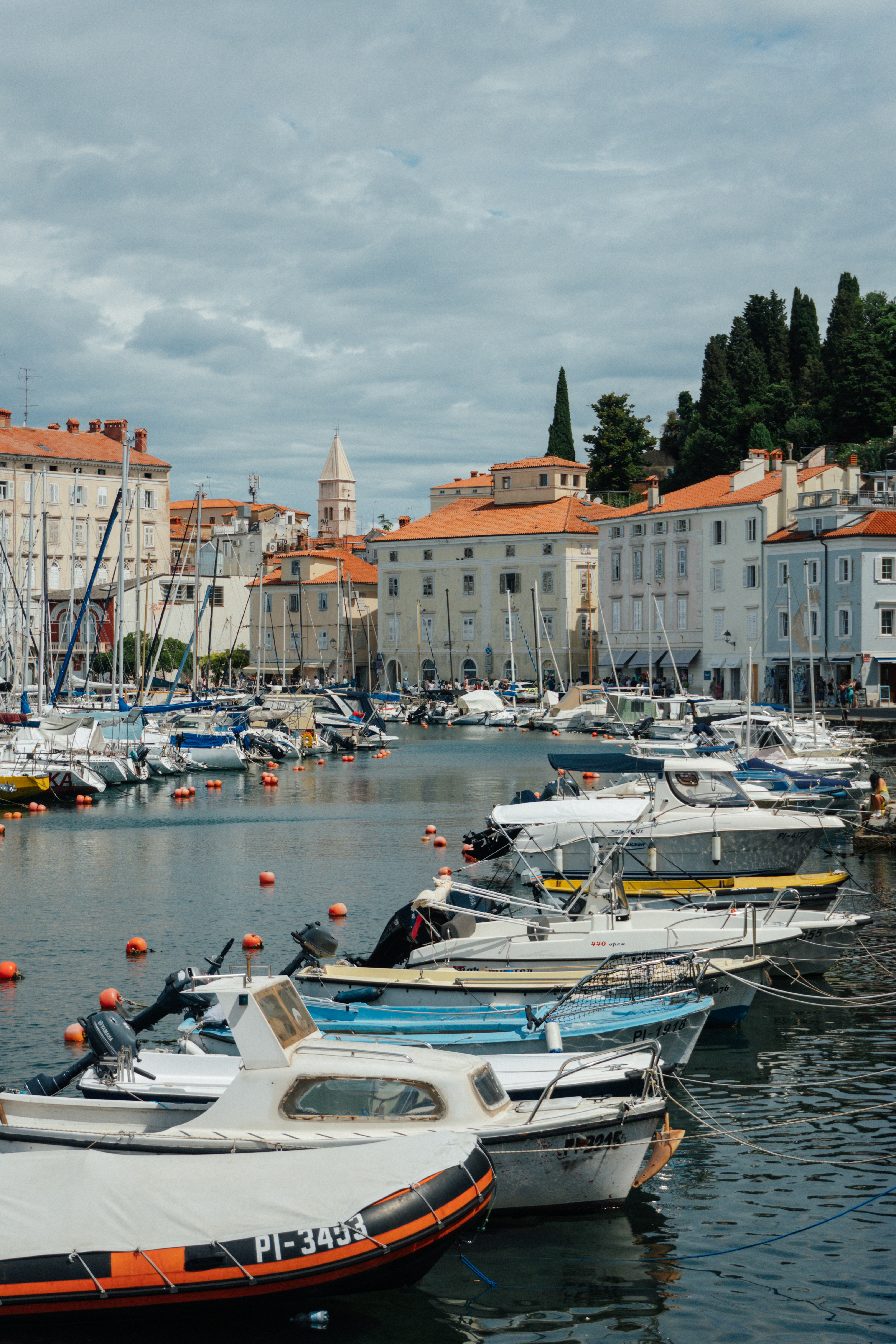 Photo by raymondpetrik