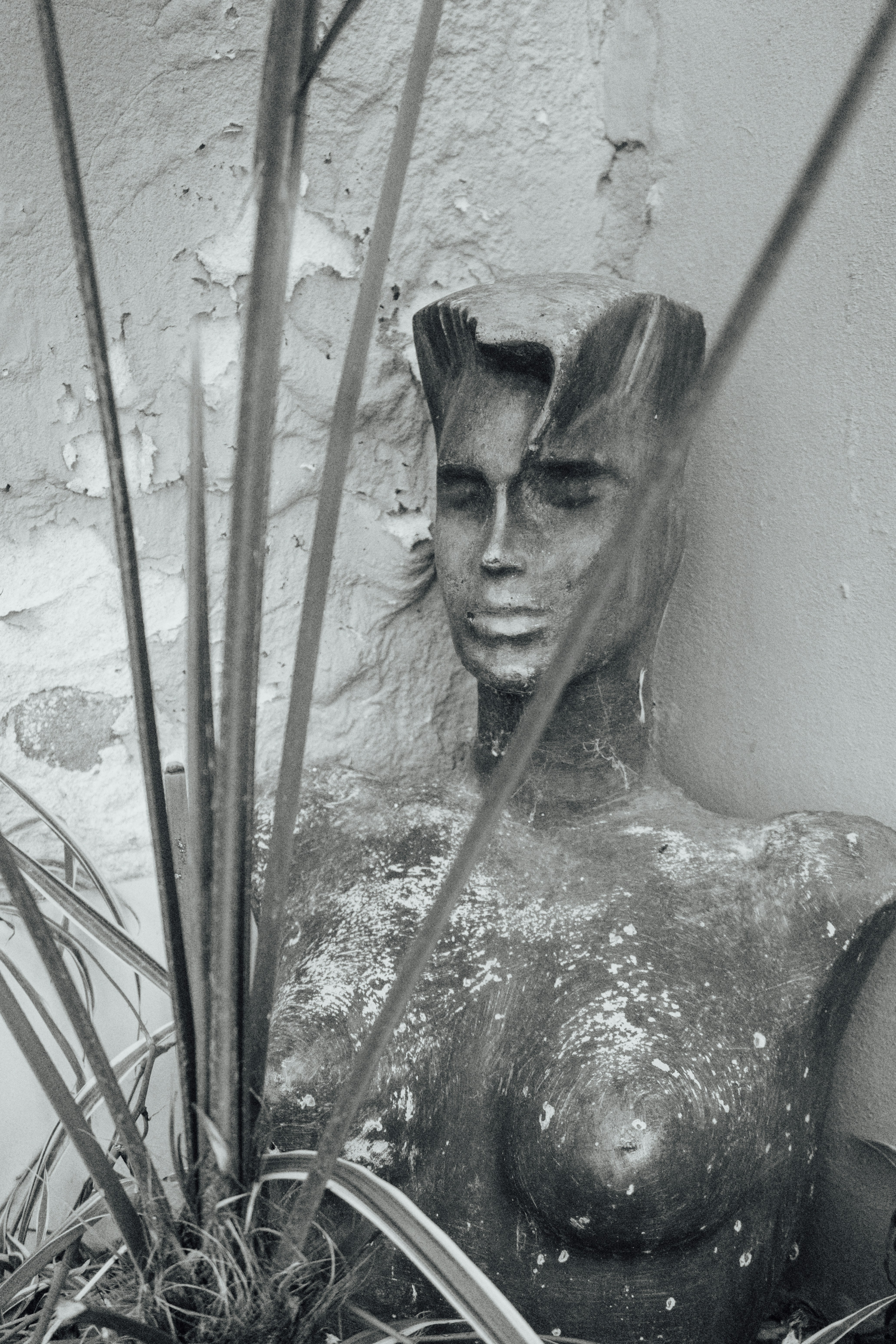 Photo by raymondpetrik