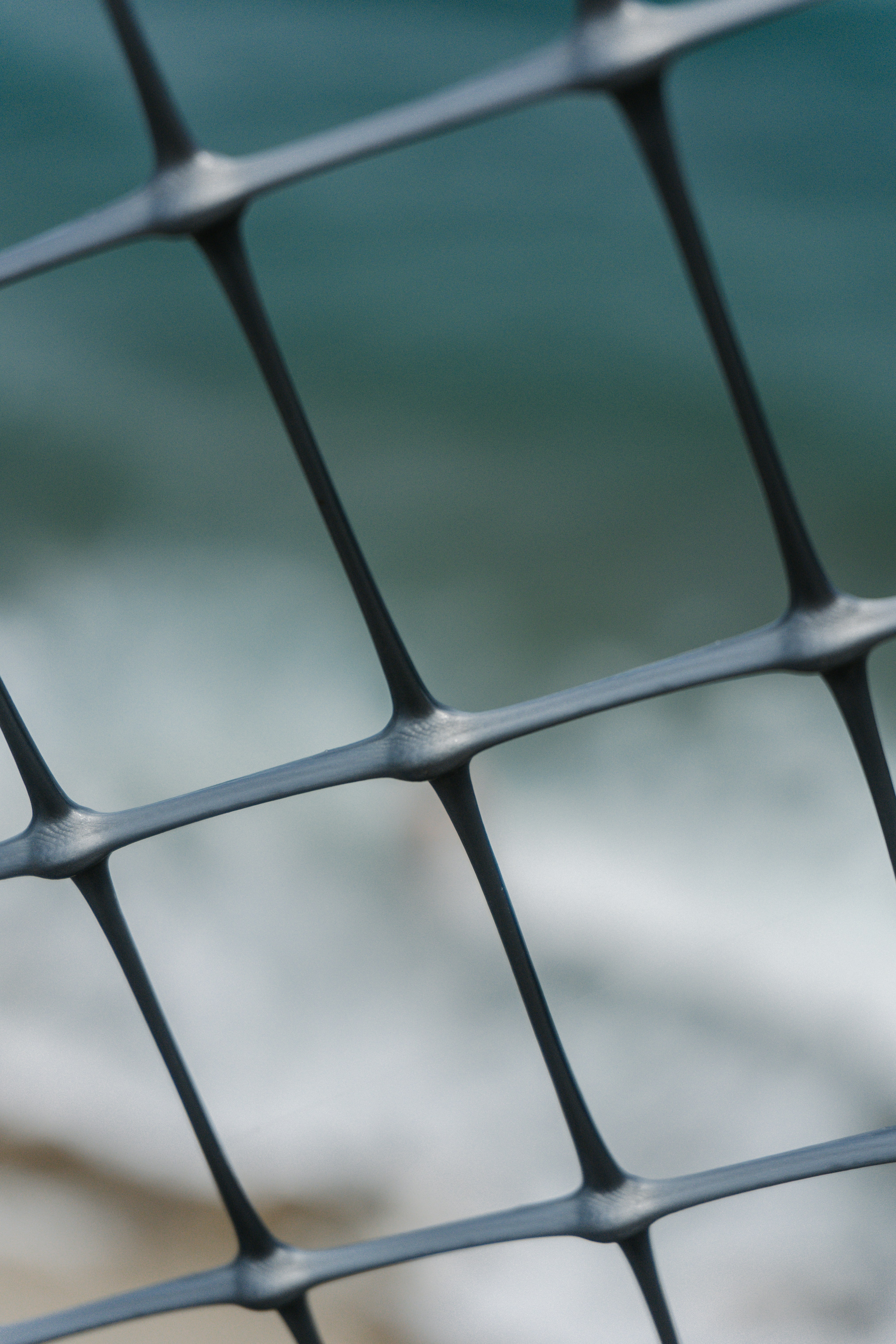 Photo by raymondpetrik