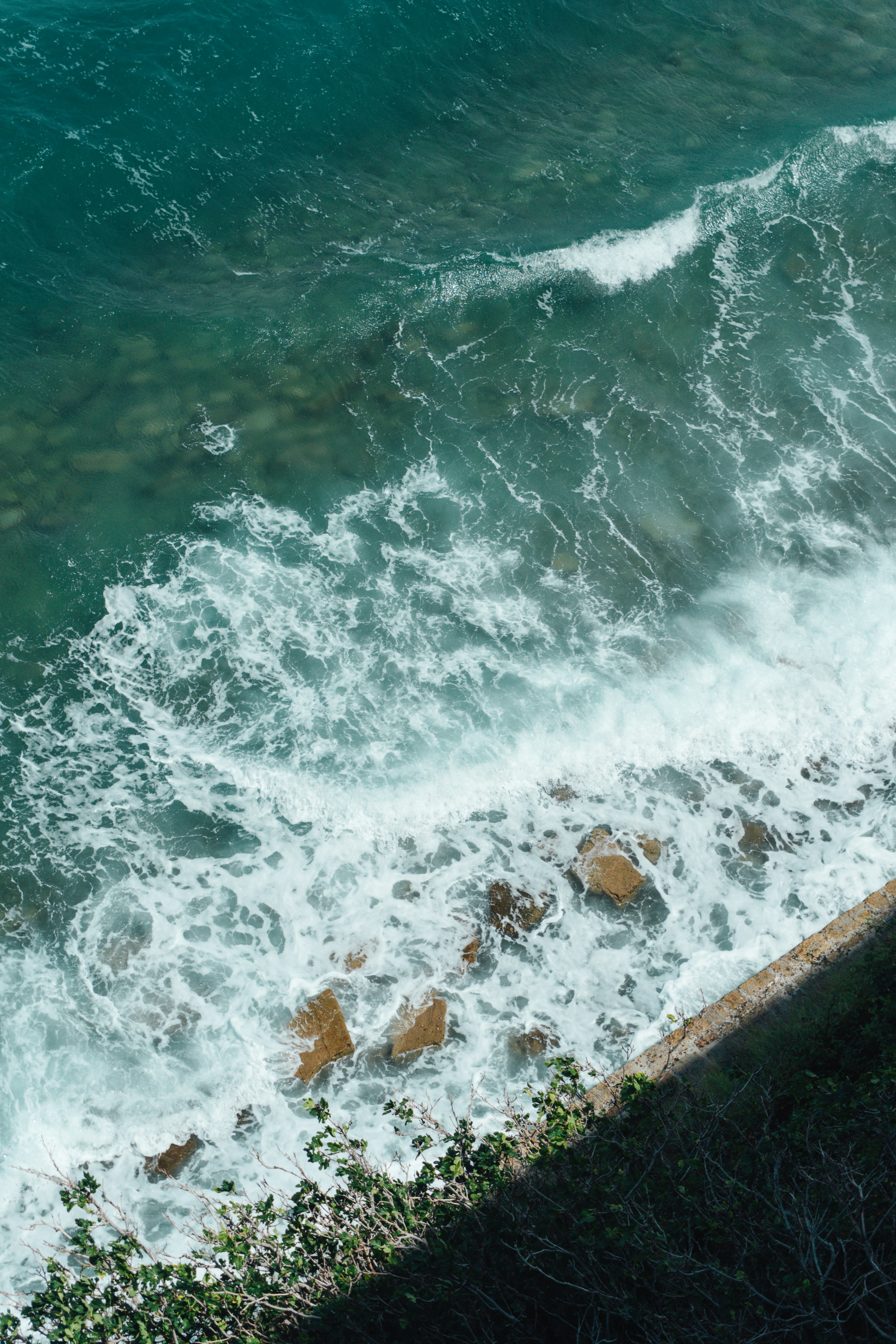 Photo by raymondpetrik