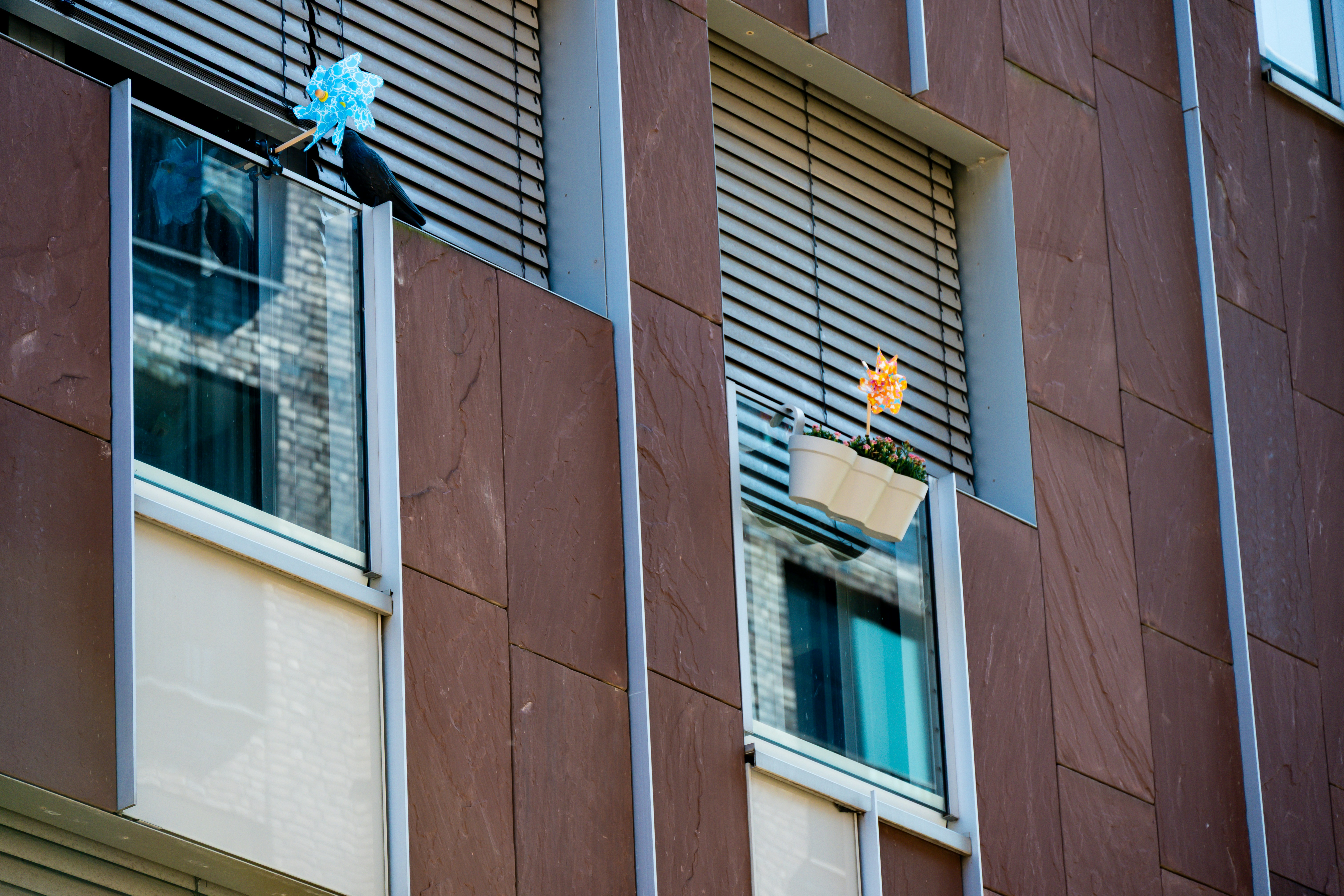 Photo by justmejuliee