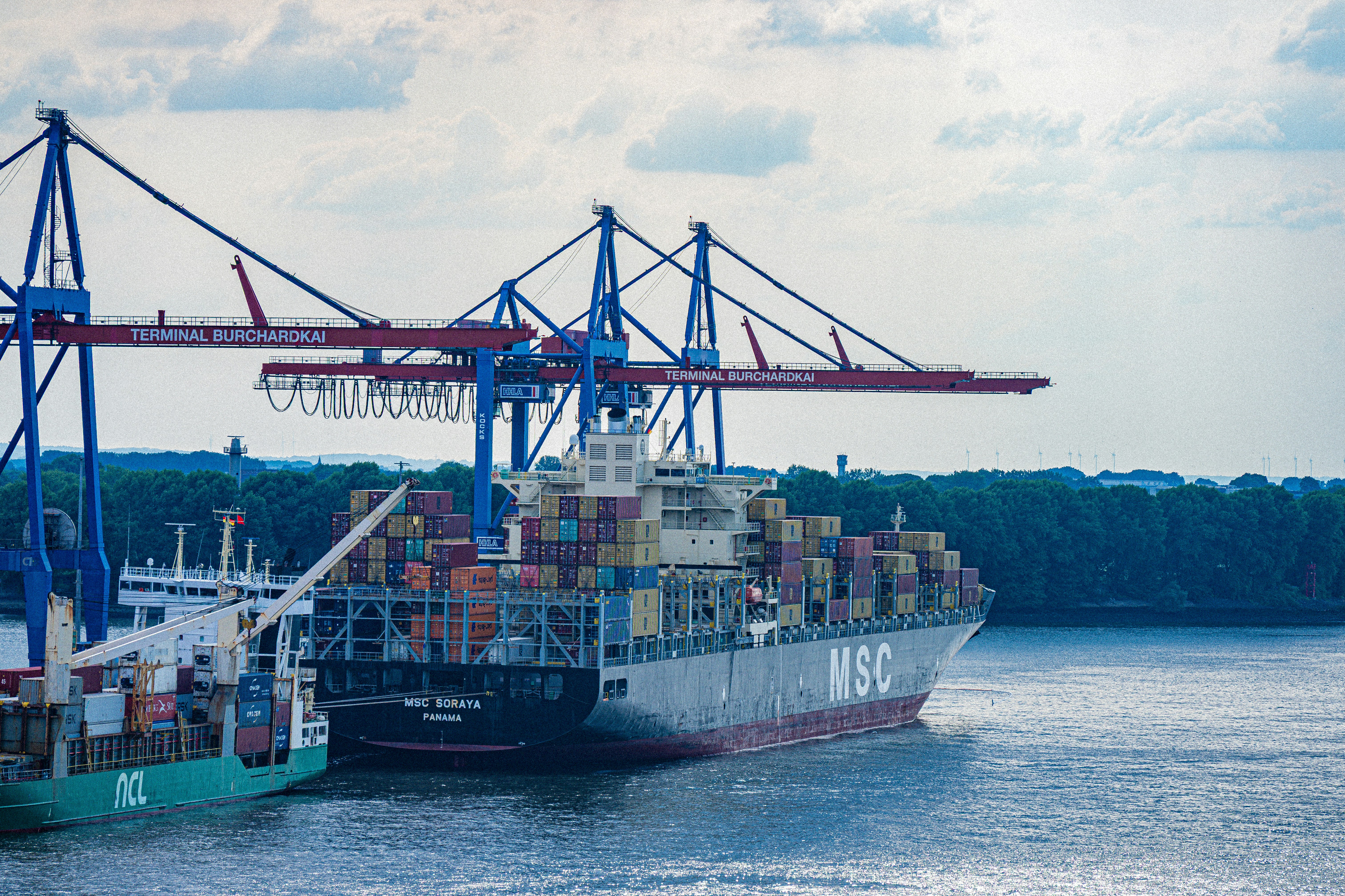 Photo by justmejuliee