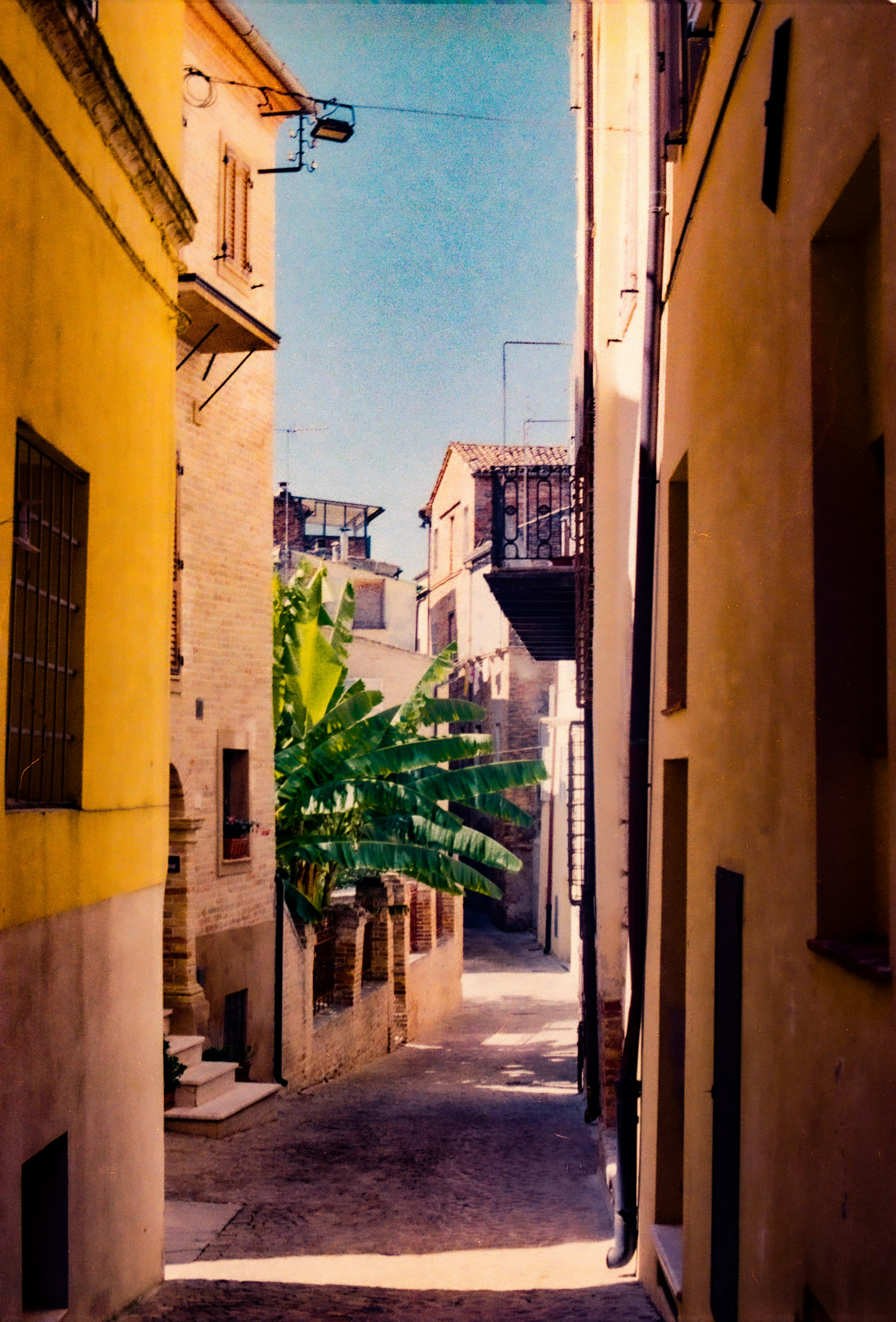 Photo by chrisvomradio