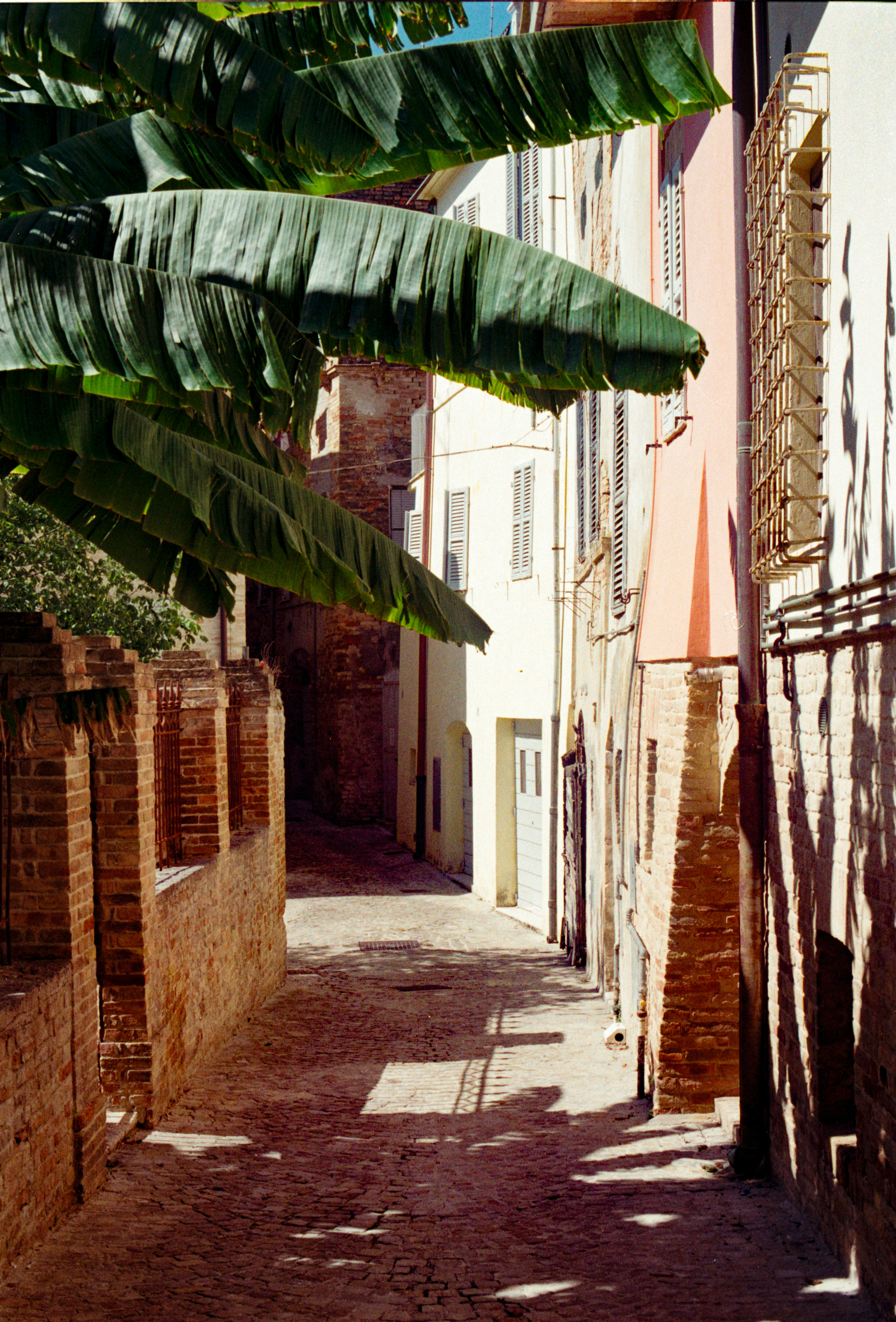 Photo by chrisvomradio