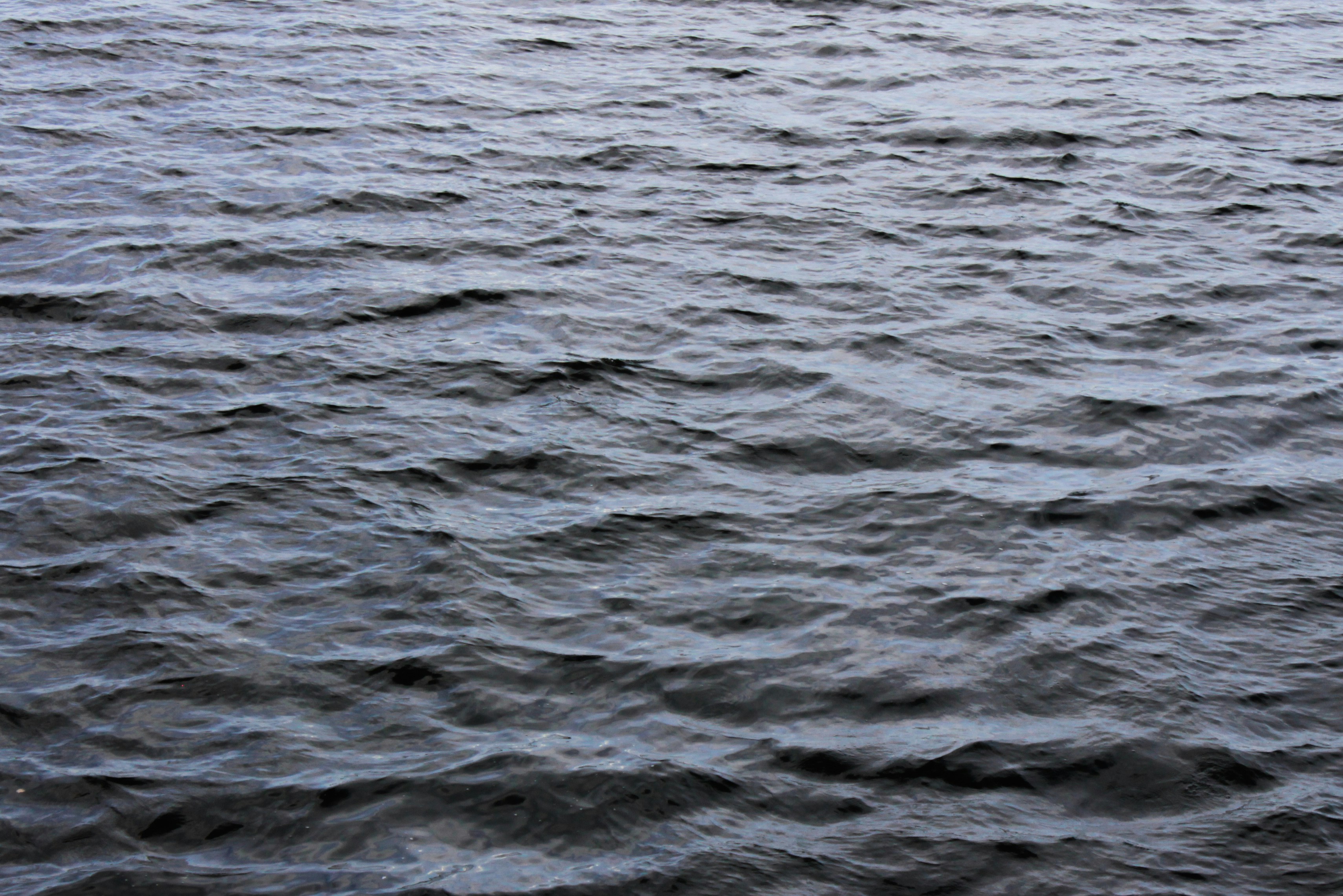 Photo by vvehkalahti