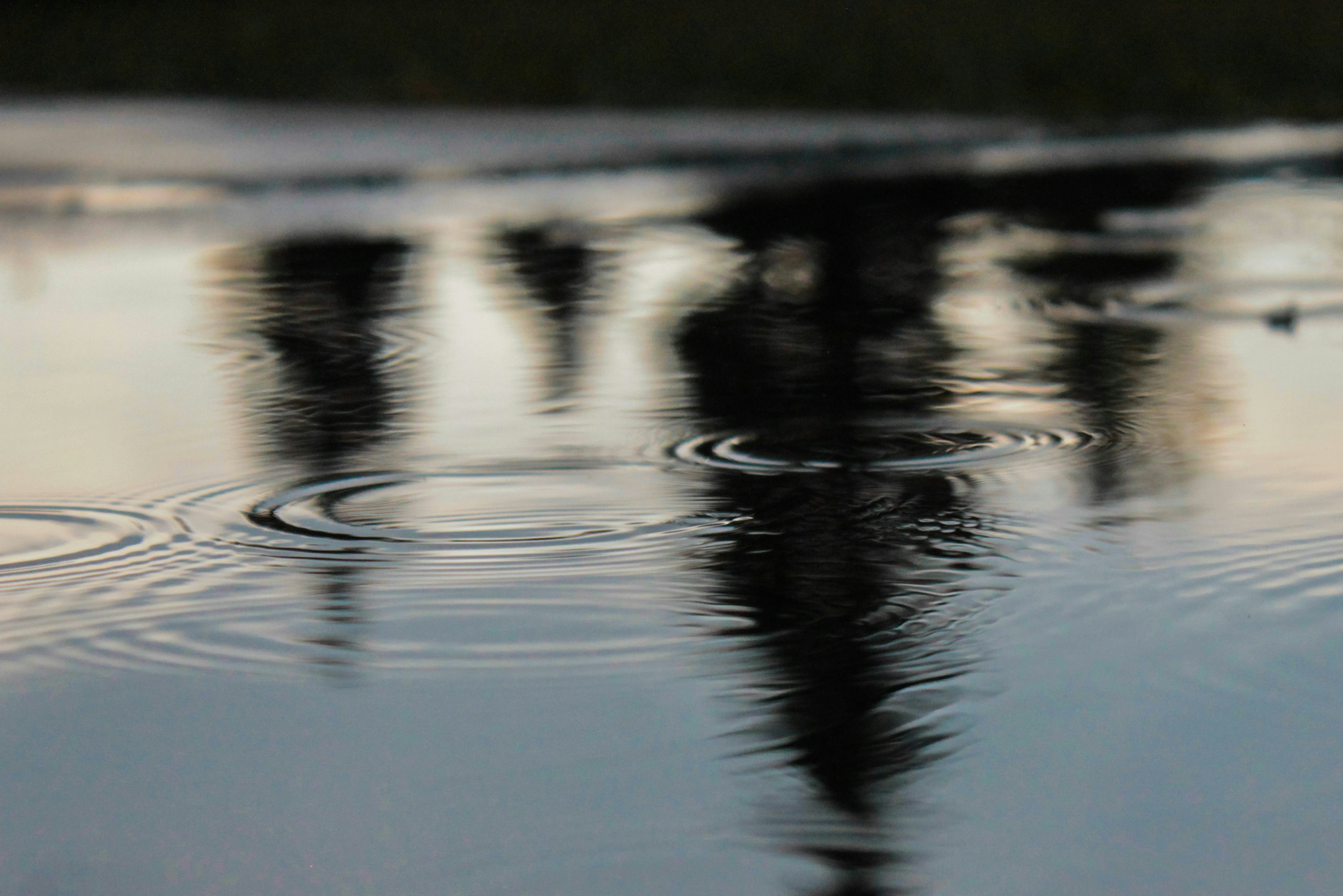 Photo by vvehkalahti