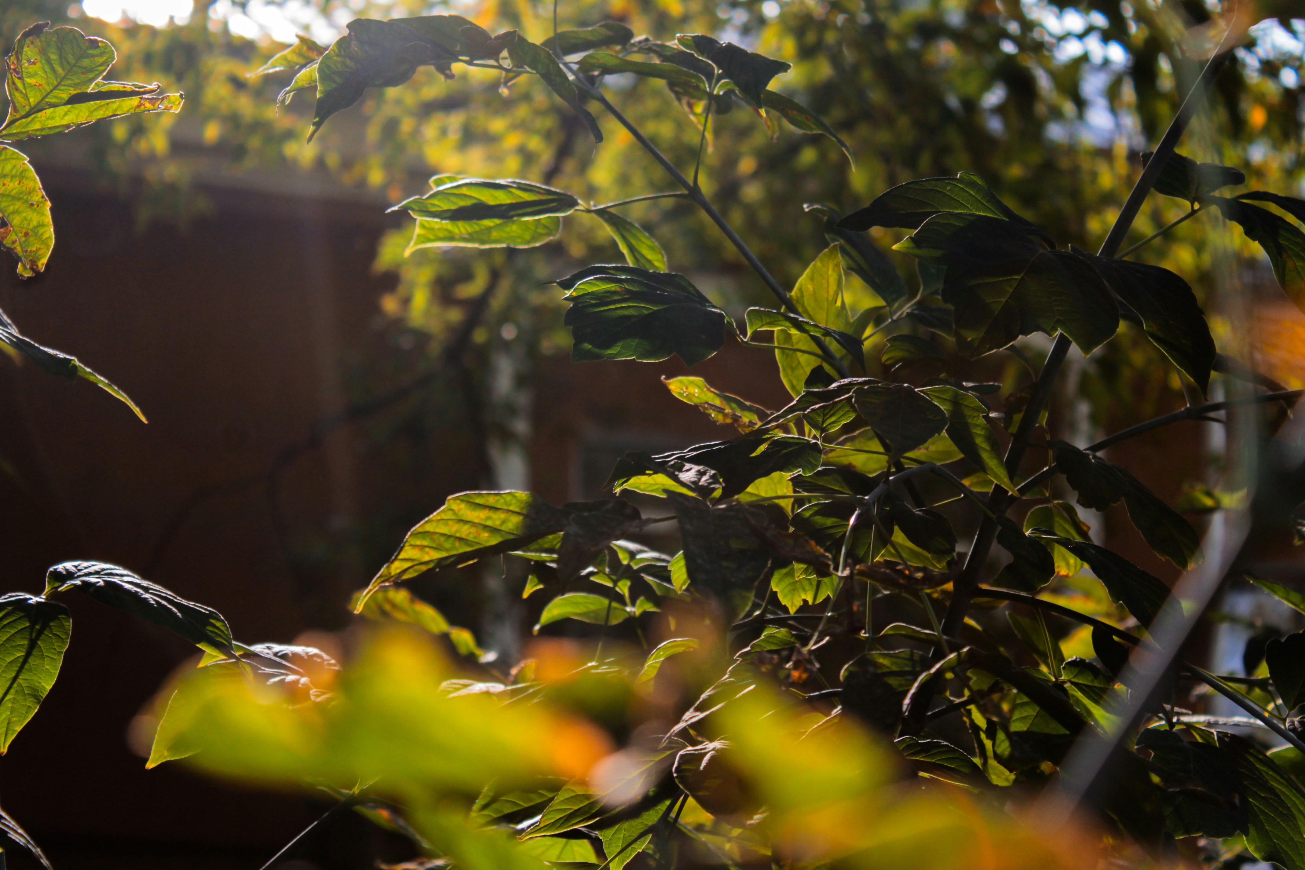 Photo by vvehkalahti