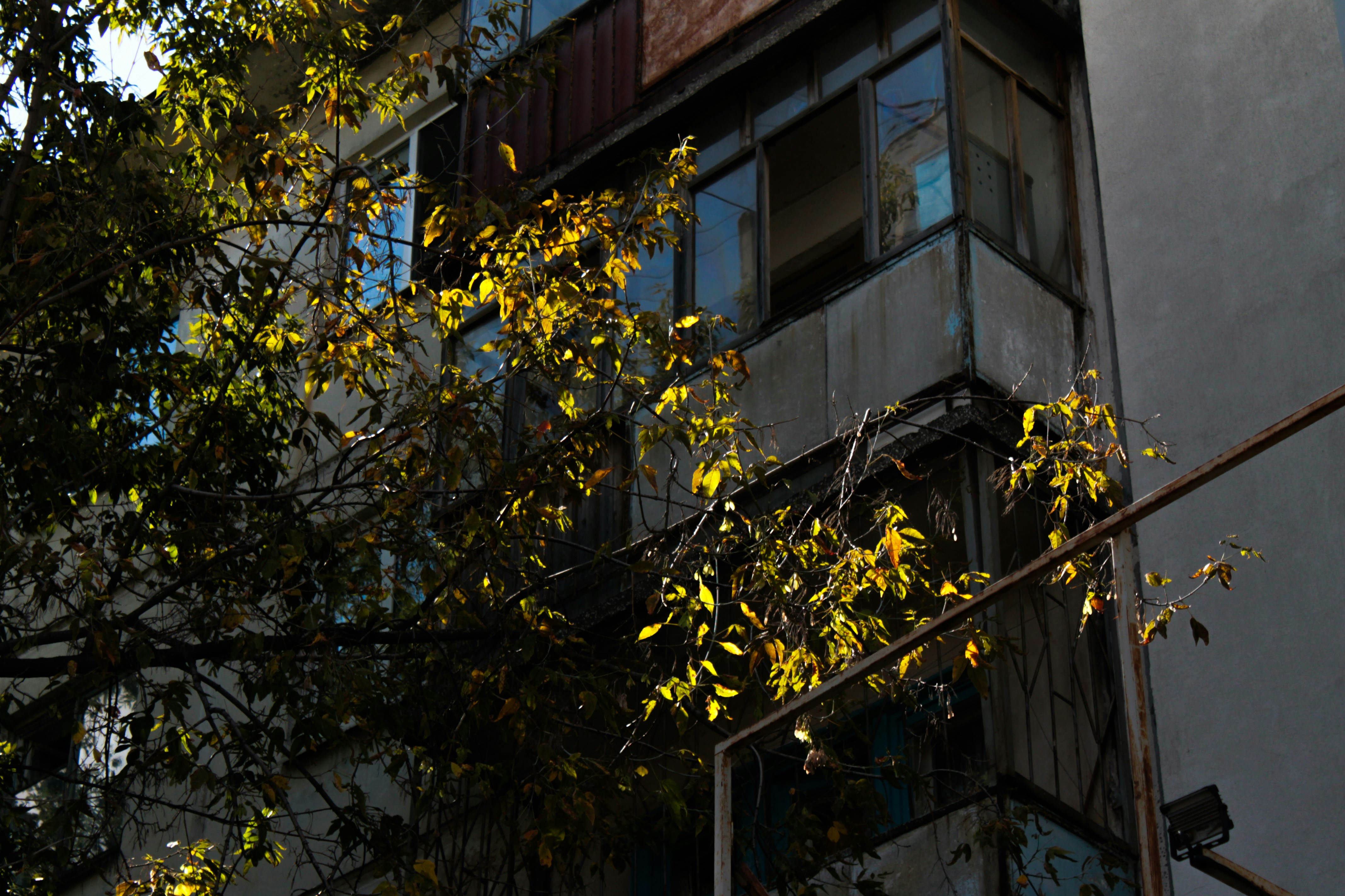 Photo by vvehkalahti