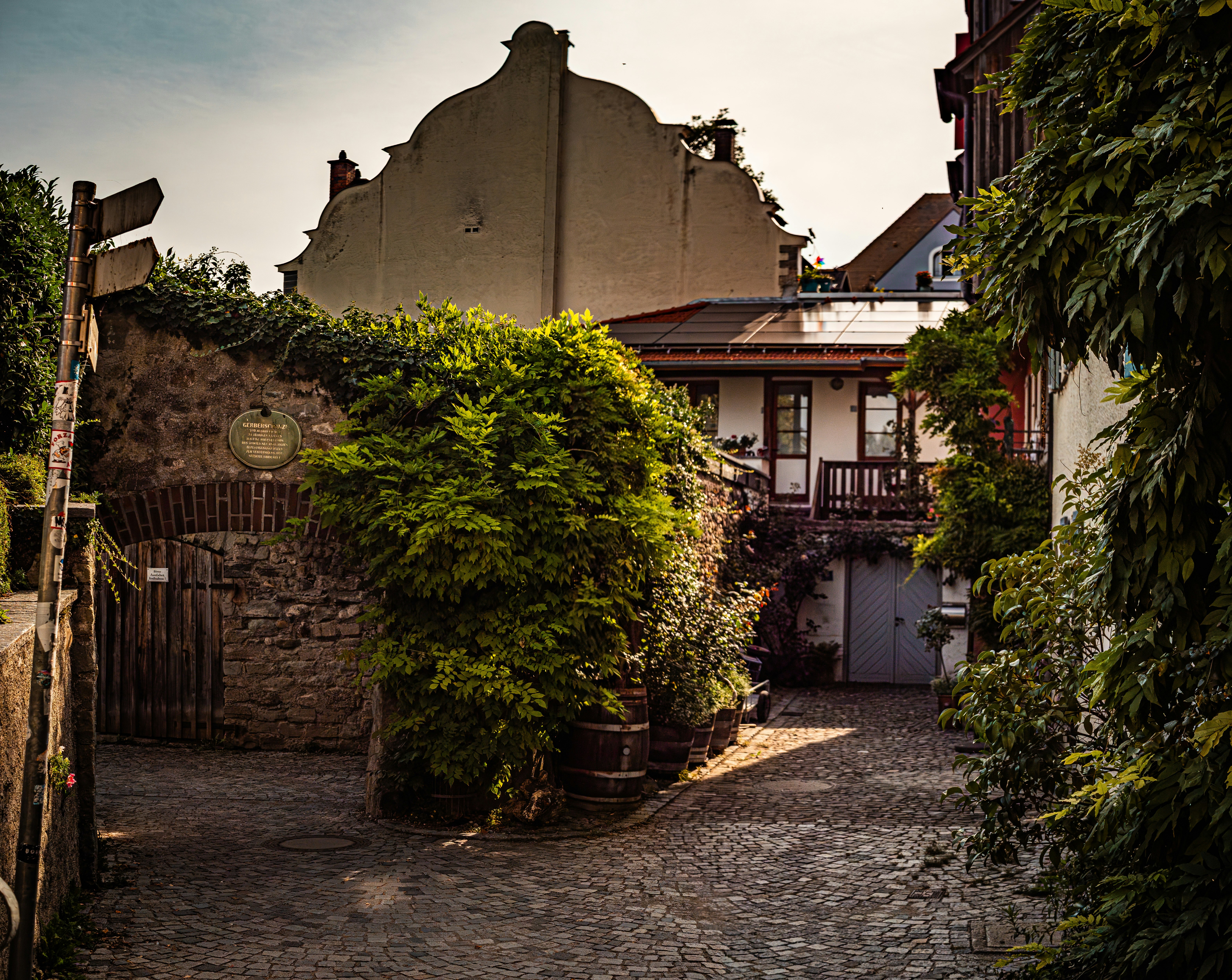 Photo by poli_graphy