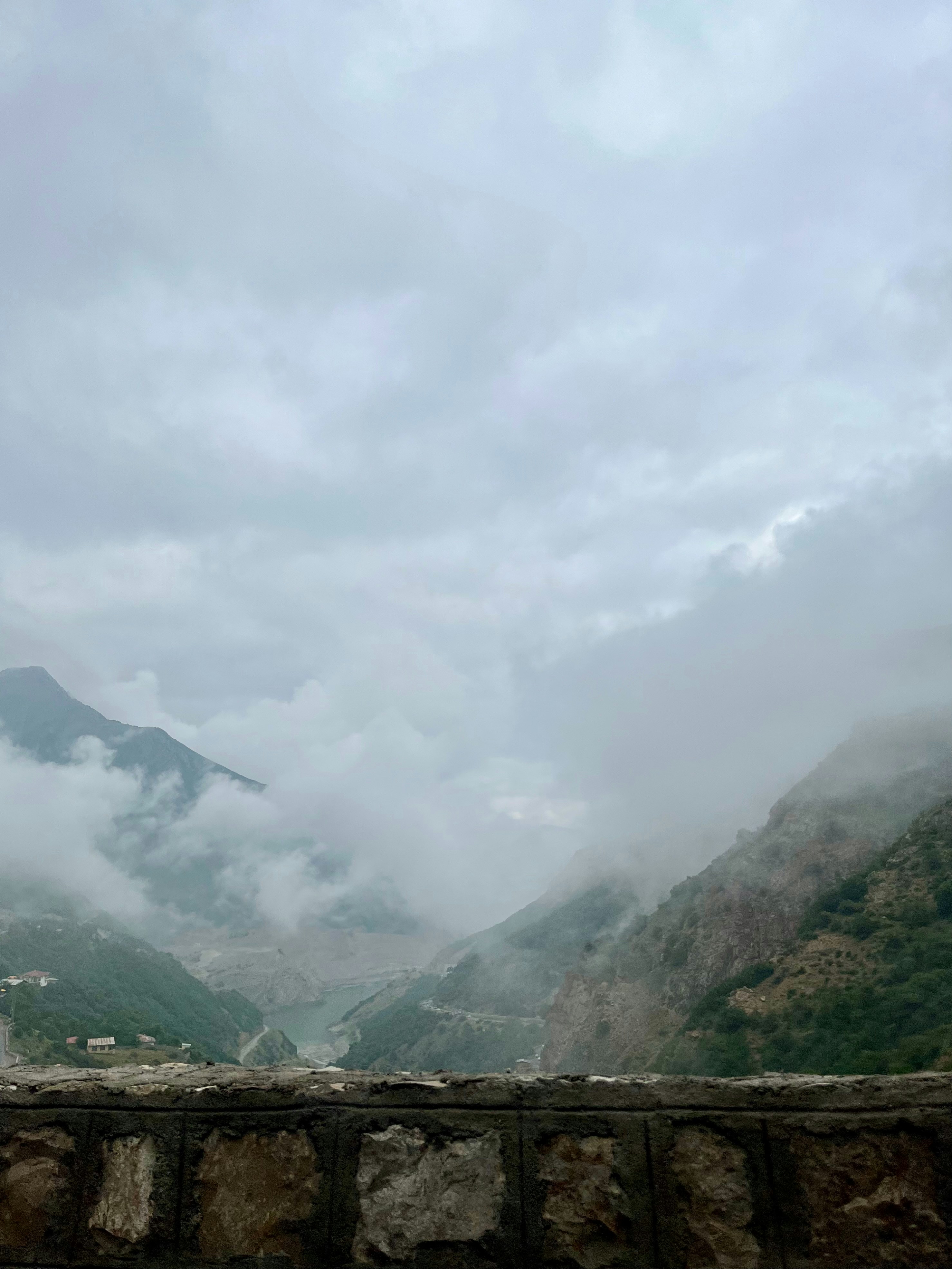 Photo by mojganshabani