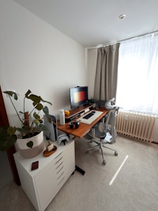 A modern home office setup with a computer and plants.