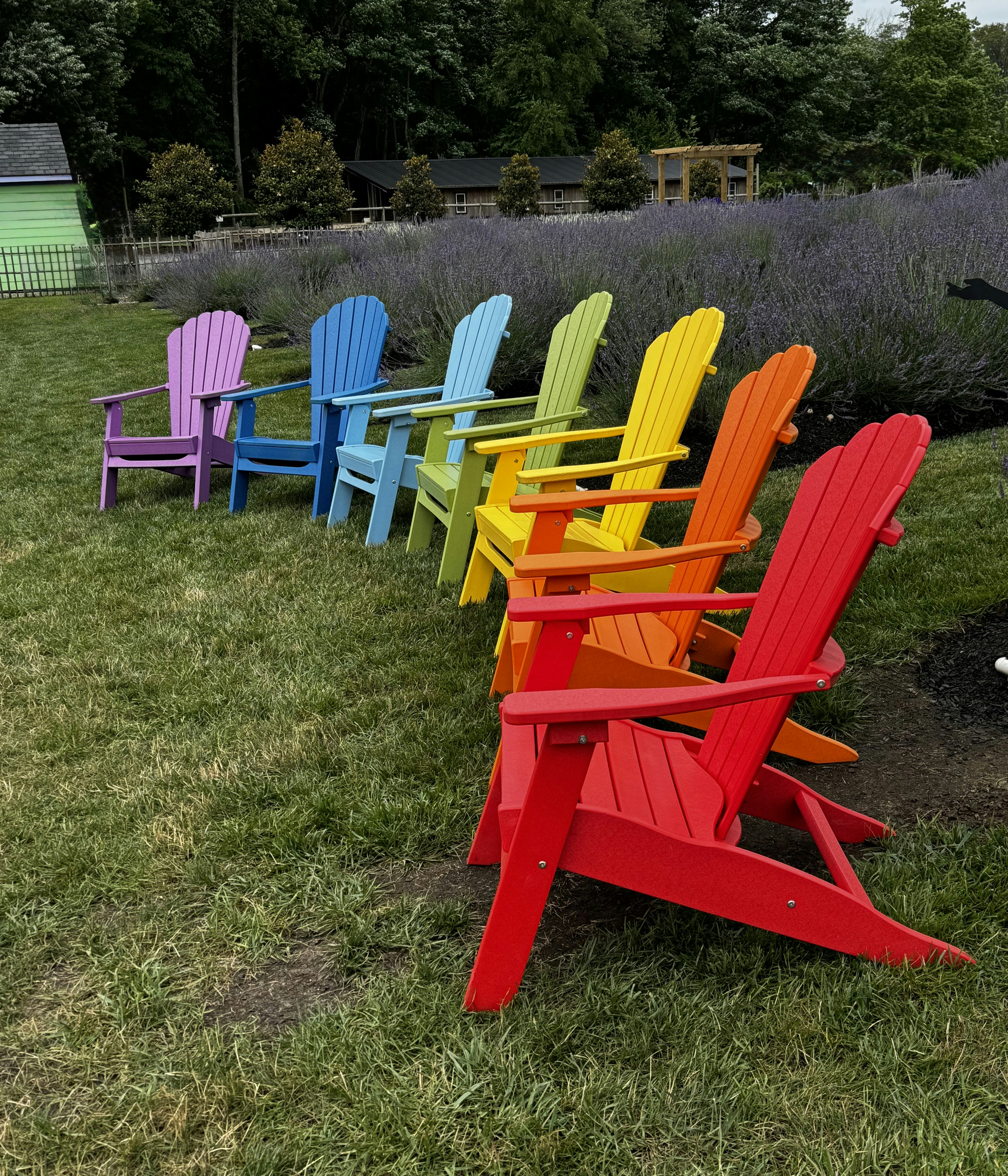 Colorful adirondack chairs lined up in a row