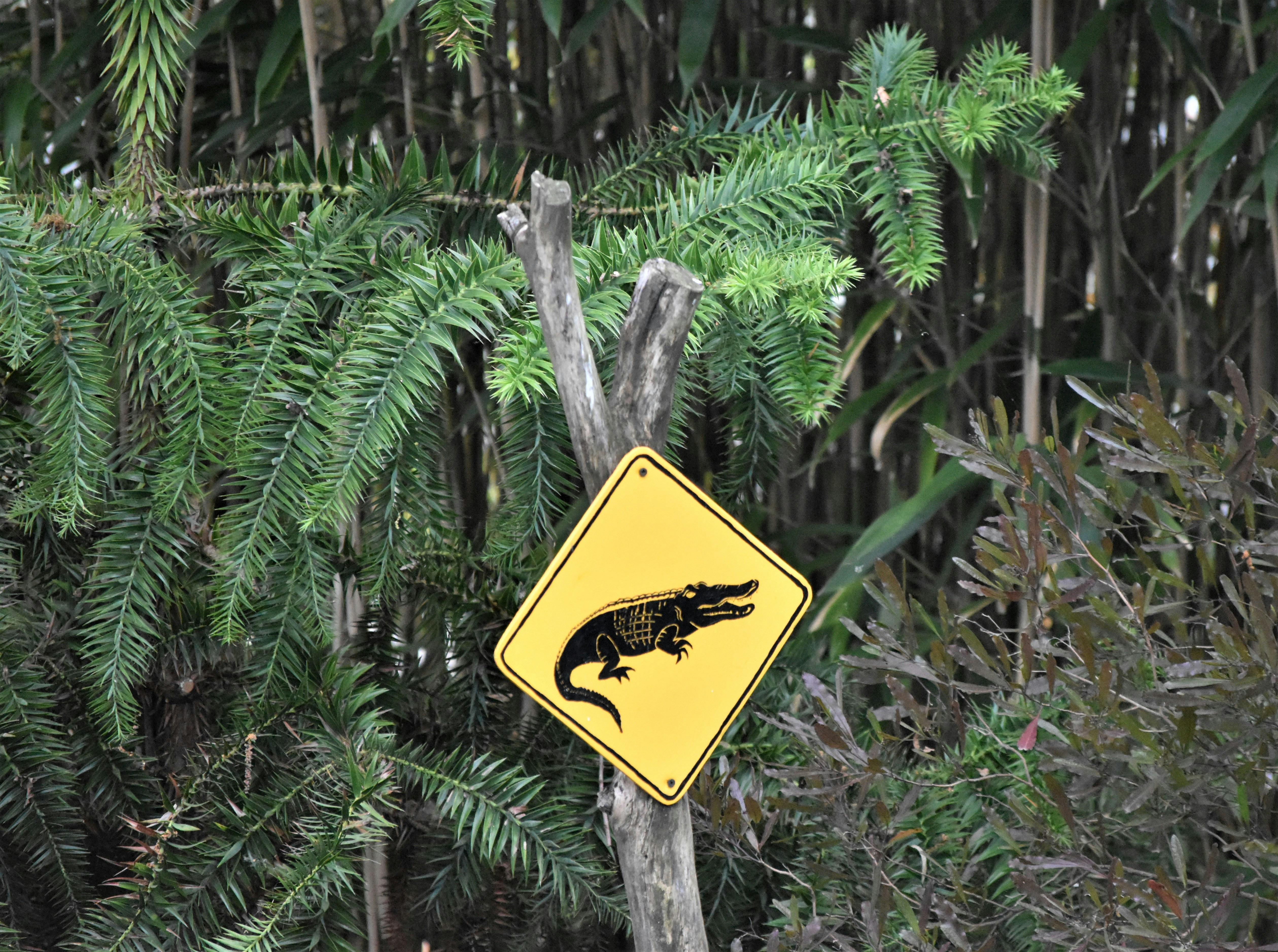 Photo by danielelarosa