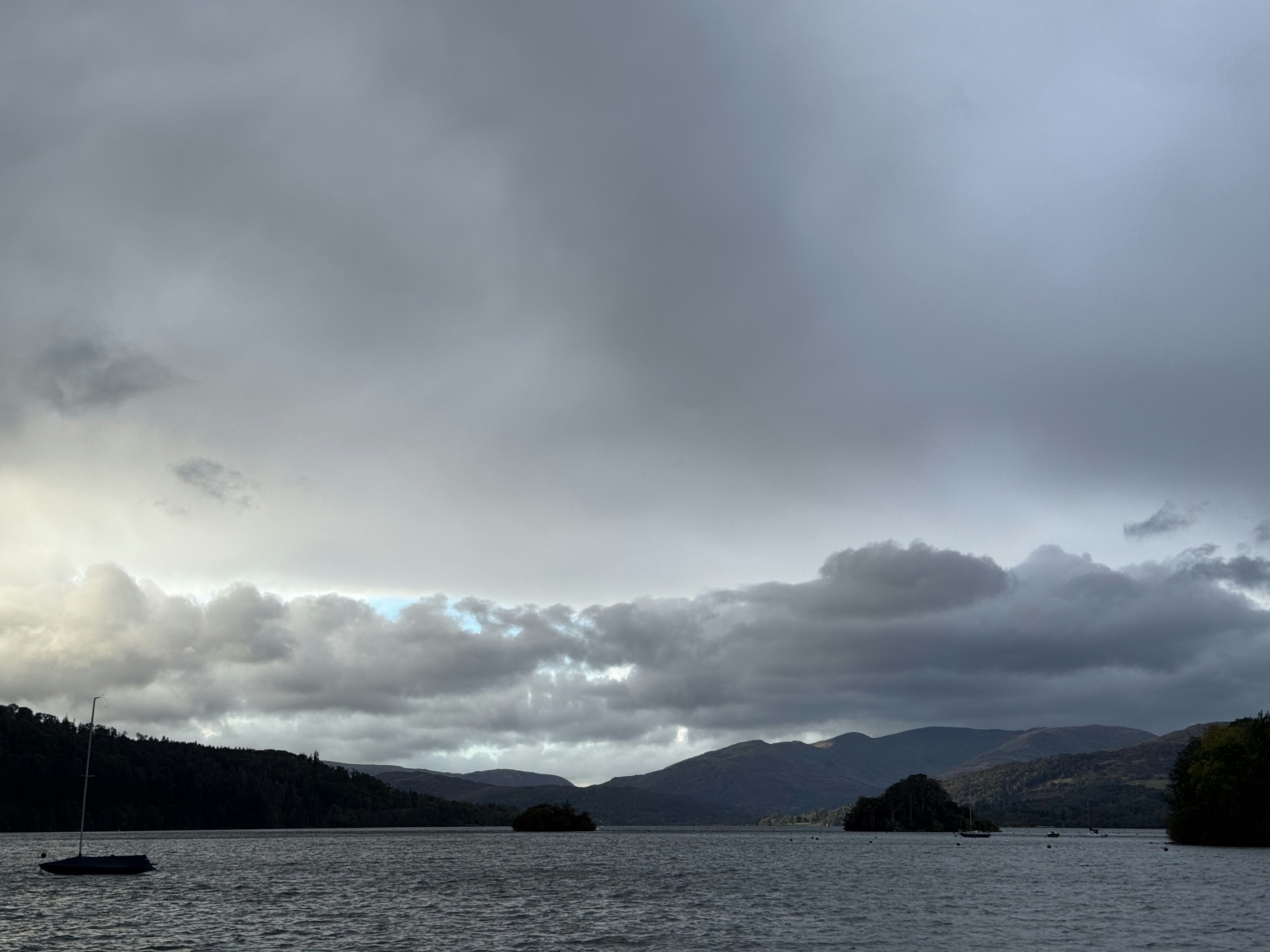 Photo by delphidolphin