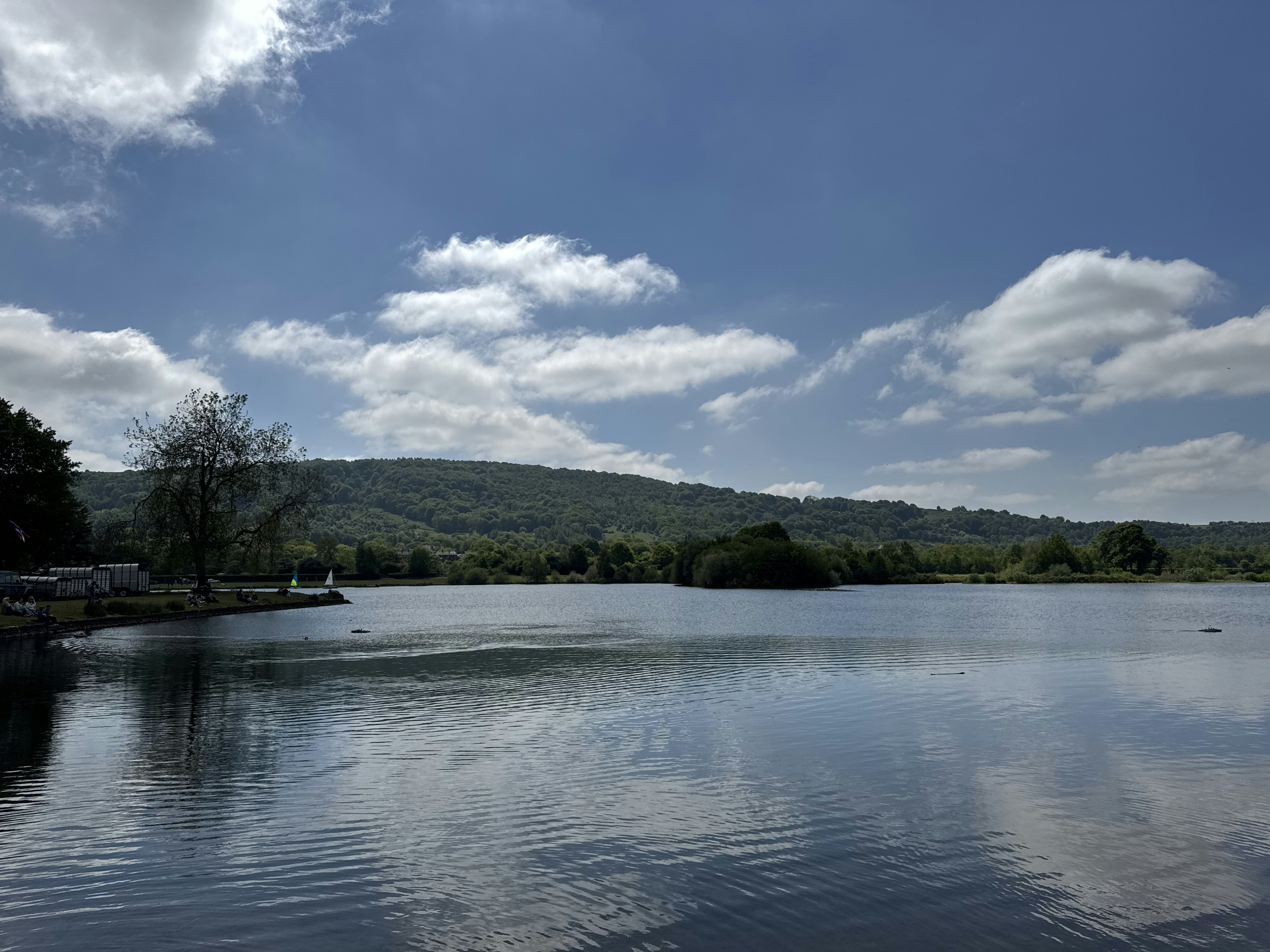 Photo by delphidolphin