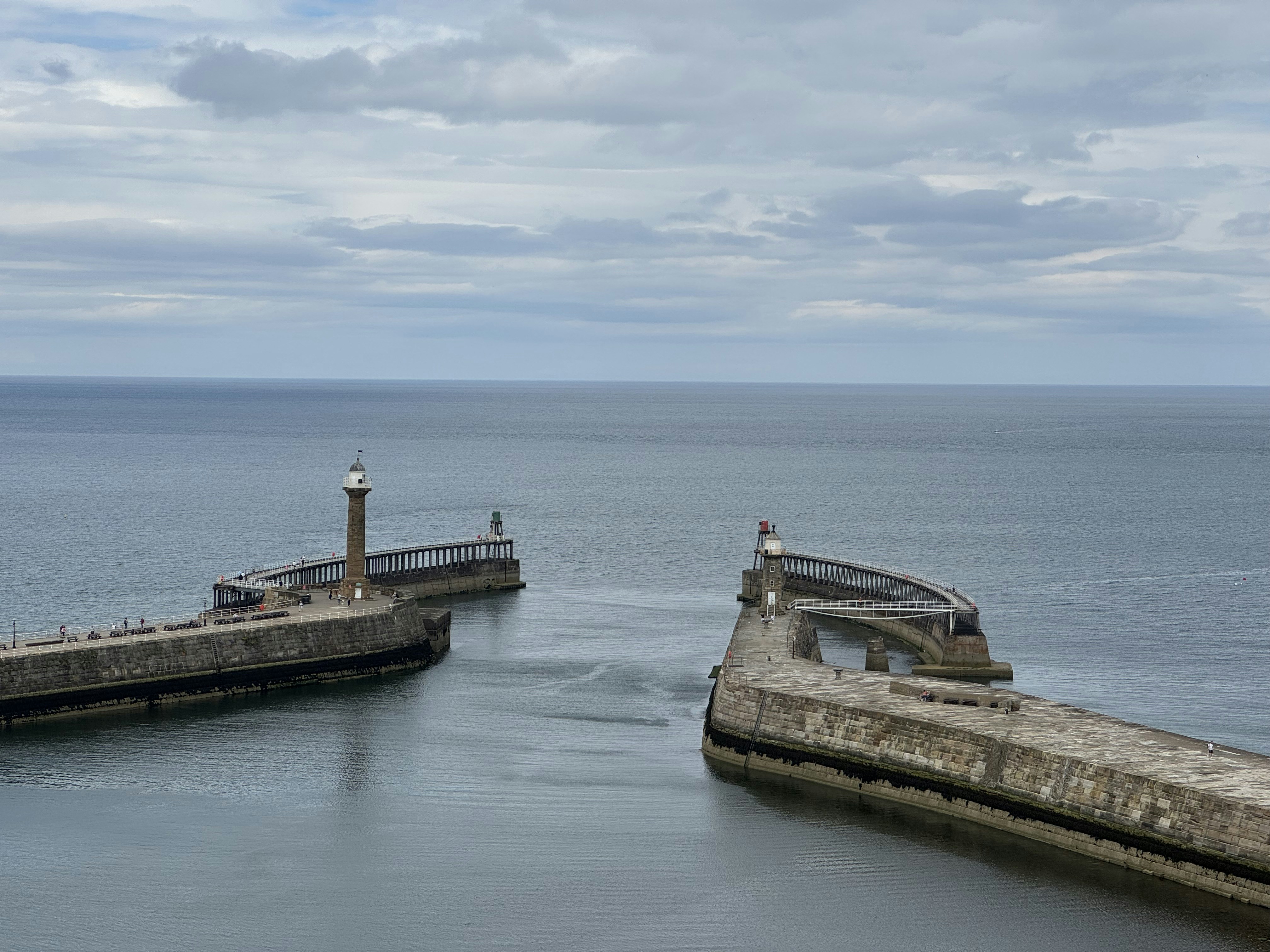 Photo by delphidolphin