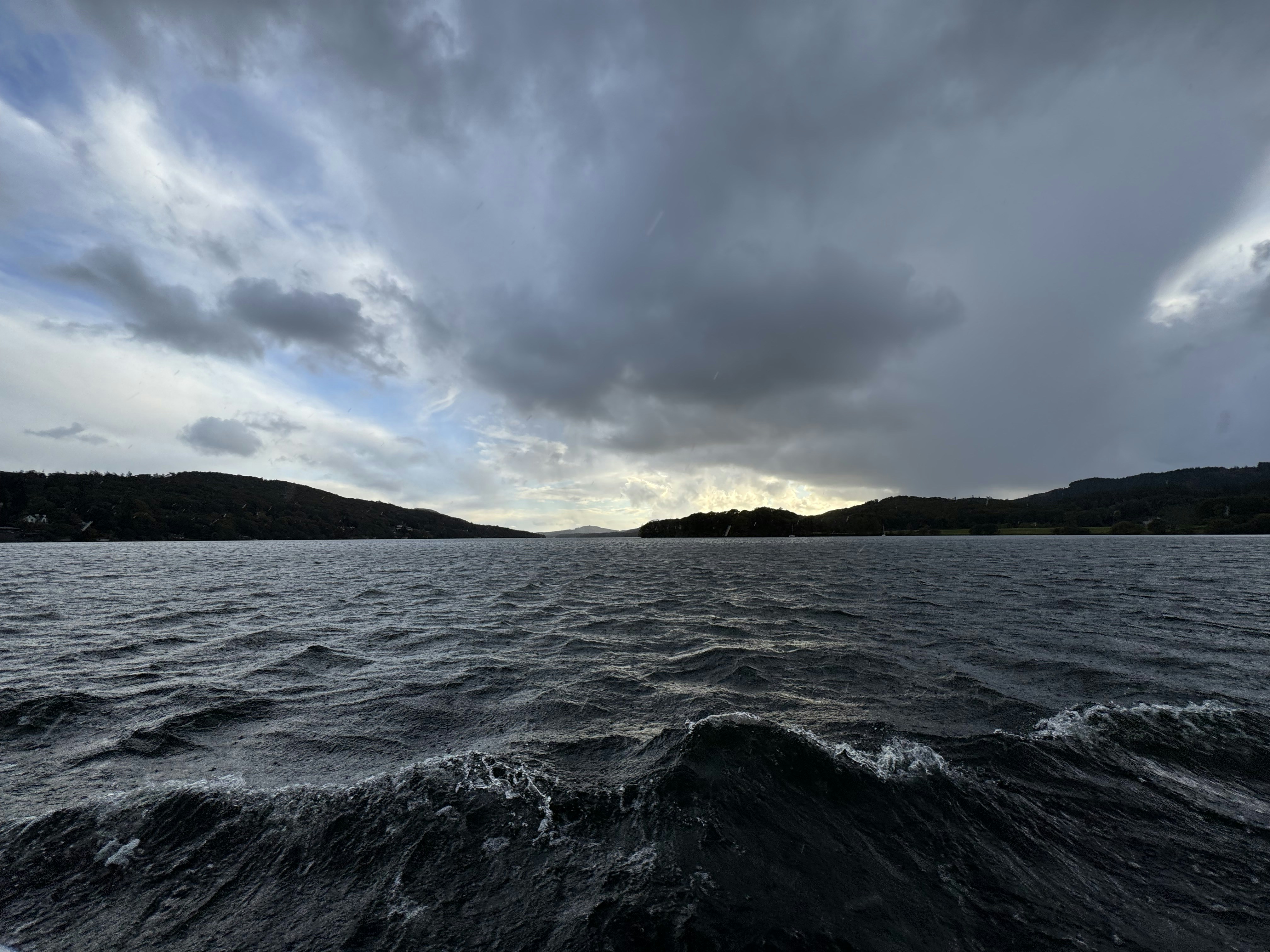 Photo by delphidolphin