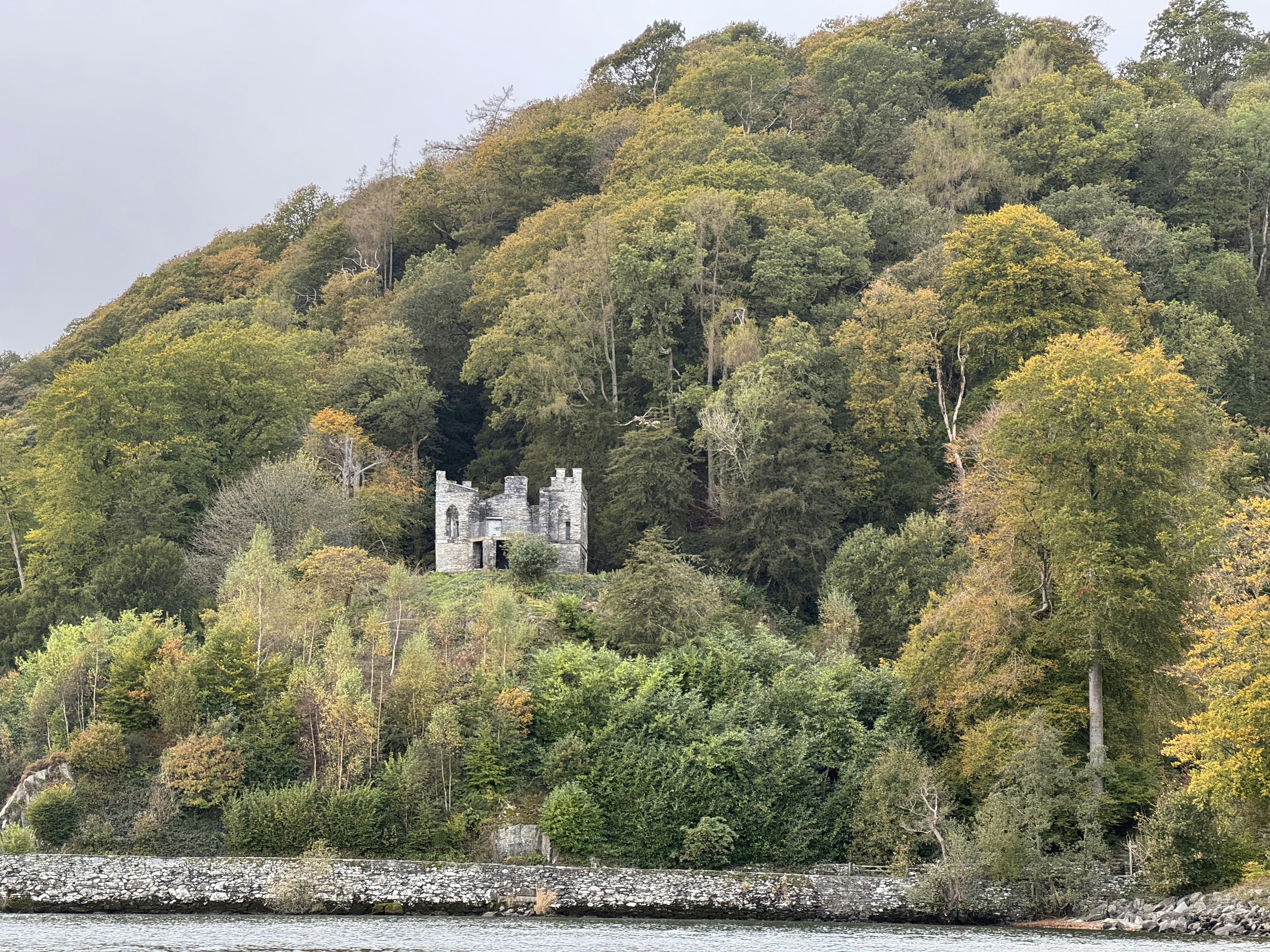 Photo by delphidolphin