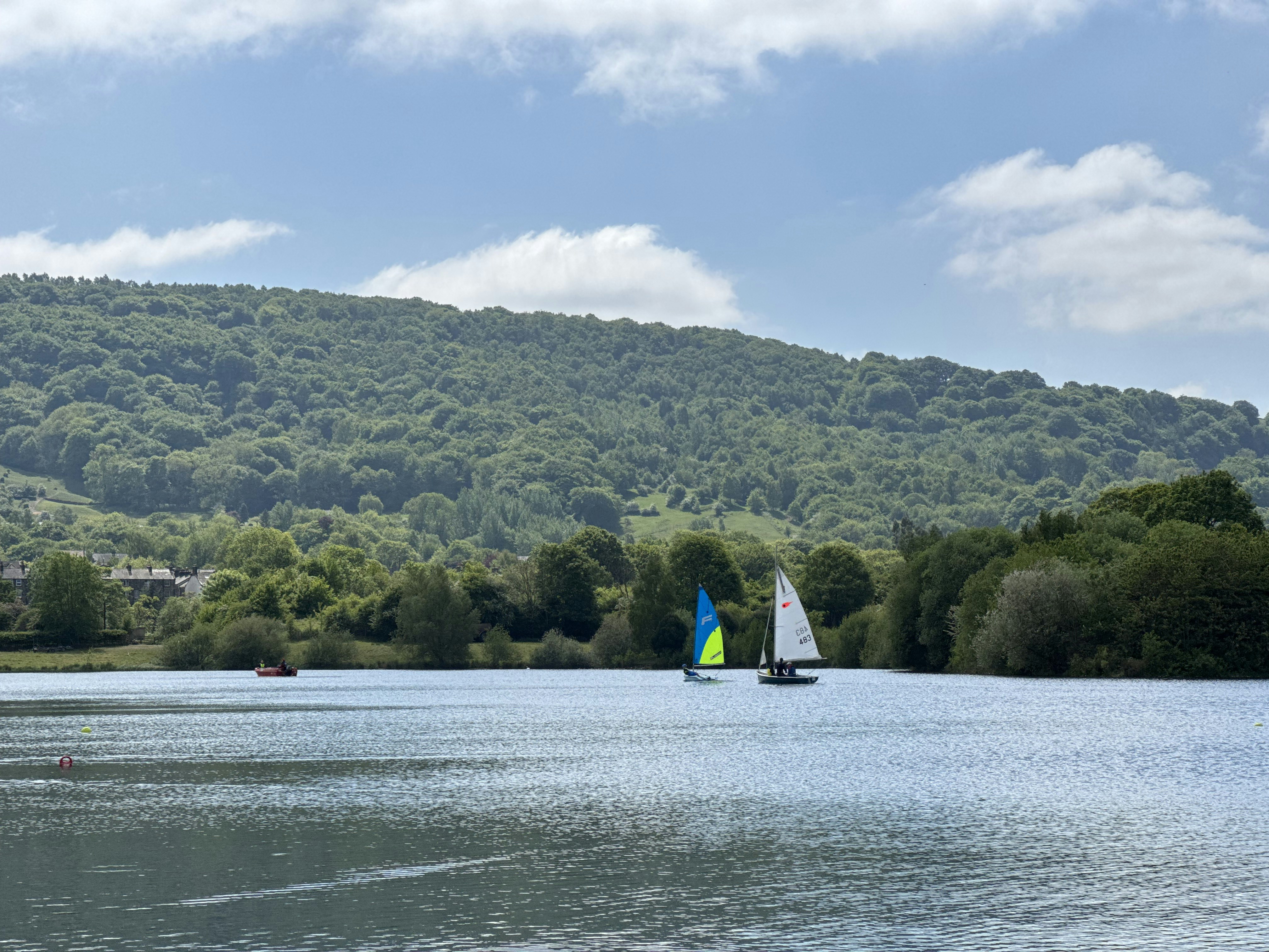 Photo by delphidolphin