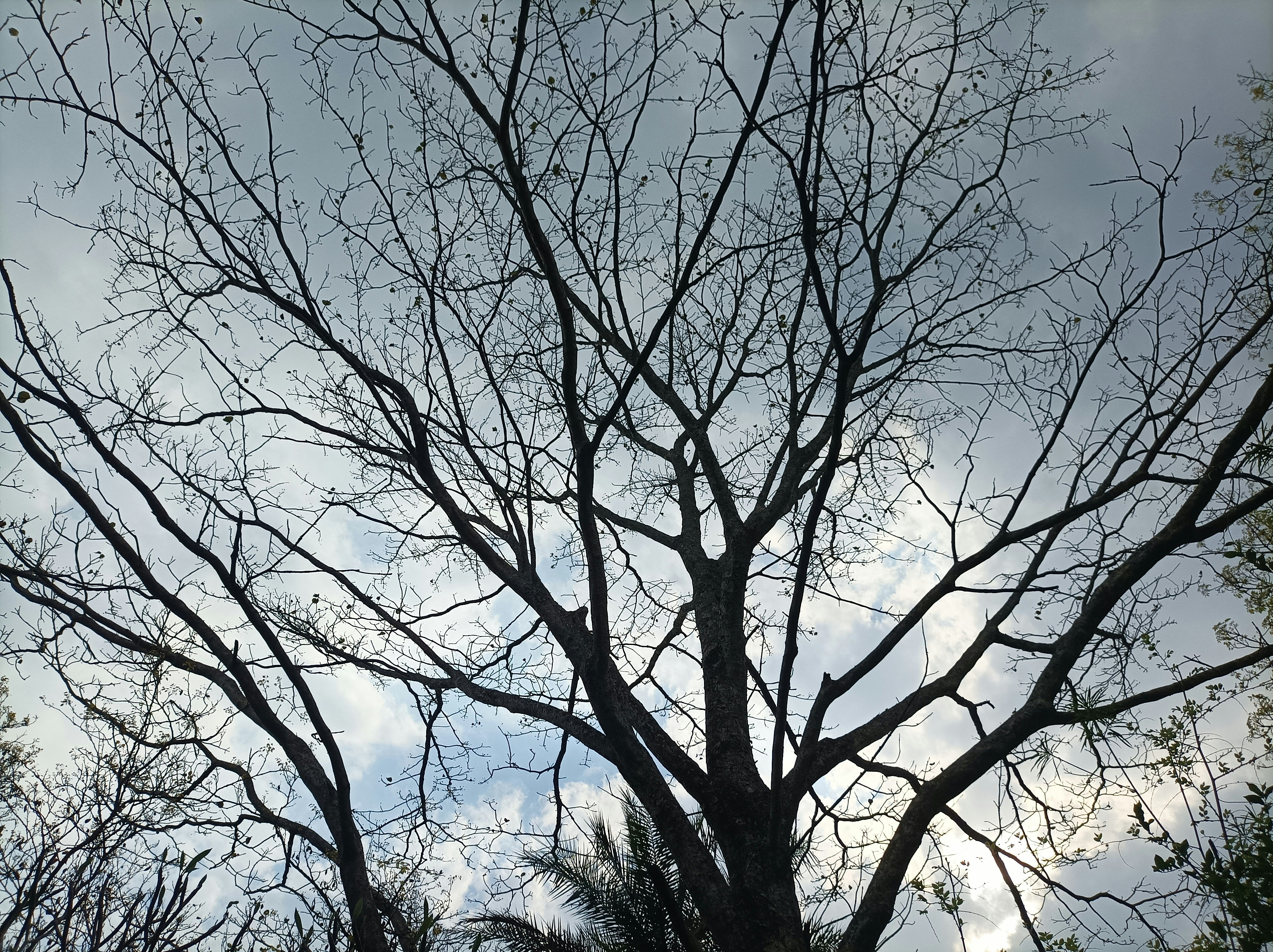 Photo by roshanmsboy420