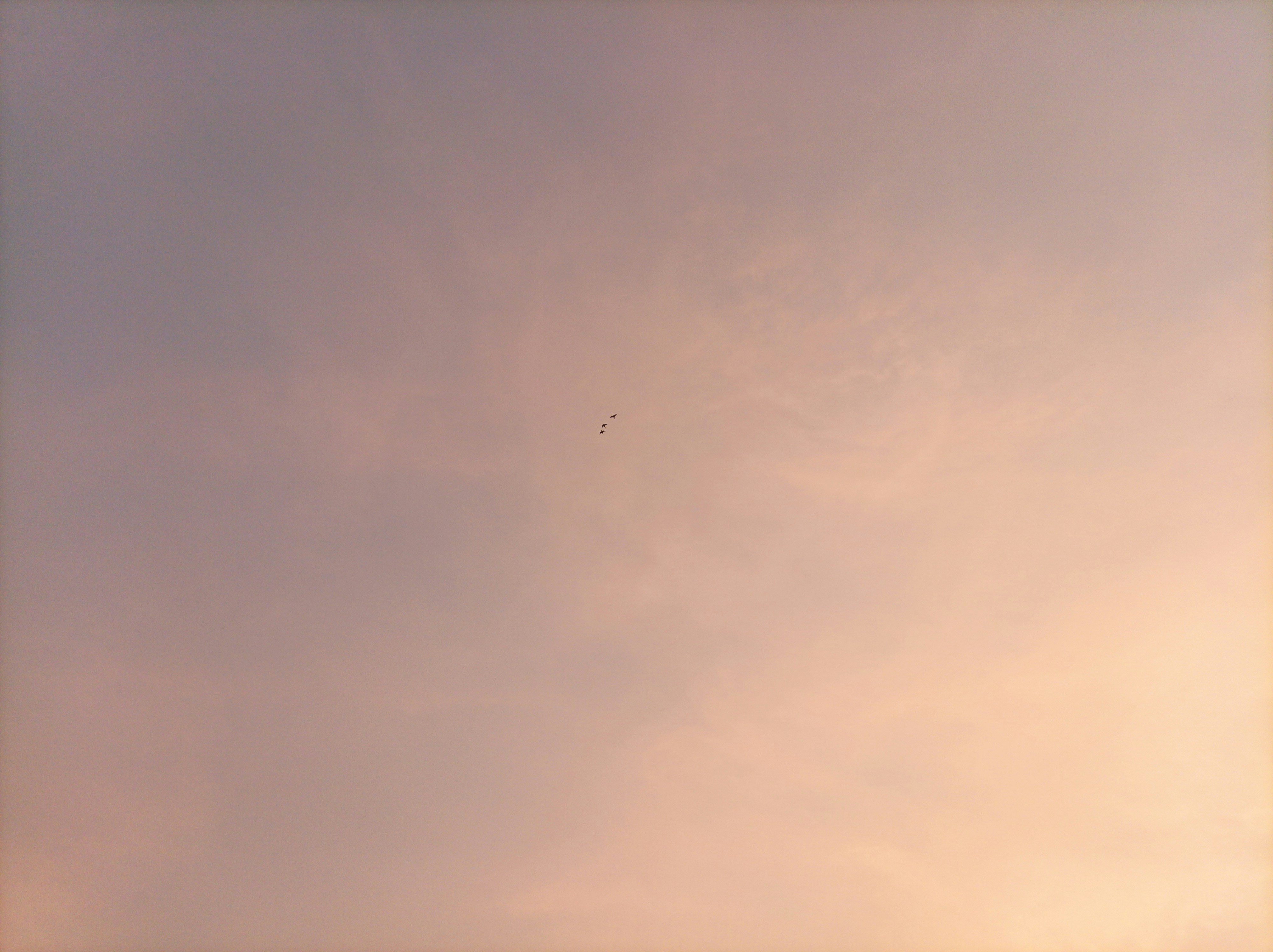 Soft pastel clouds in a twilight sky