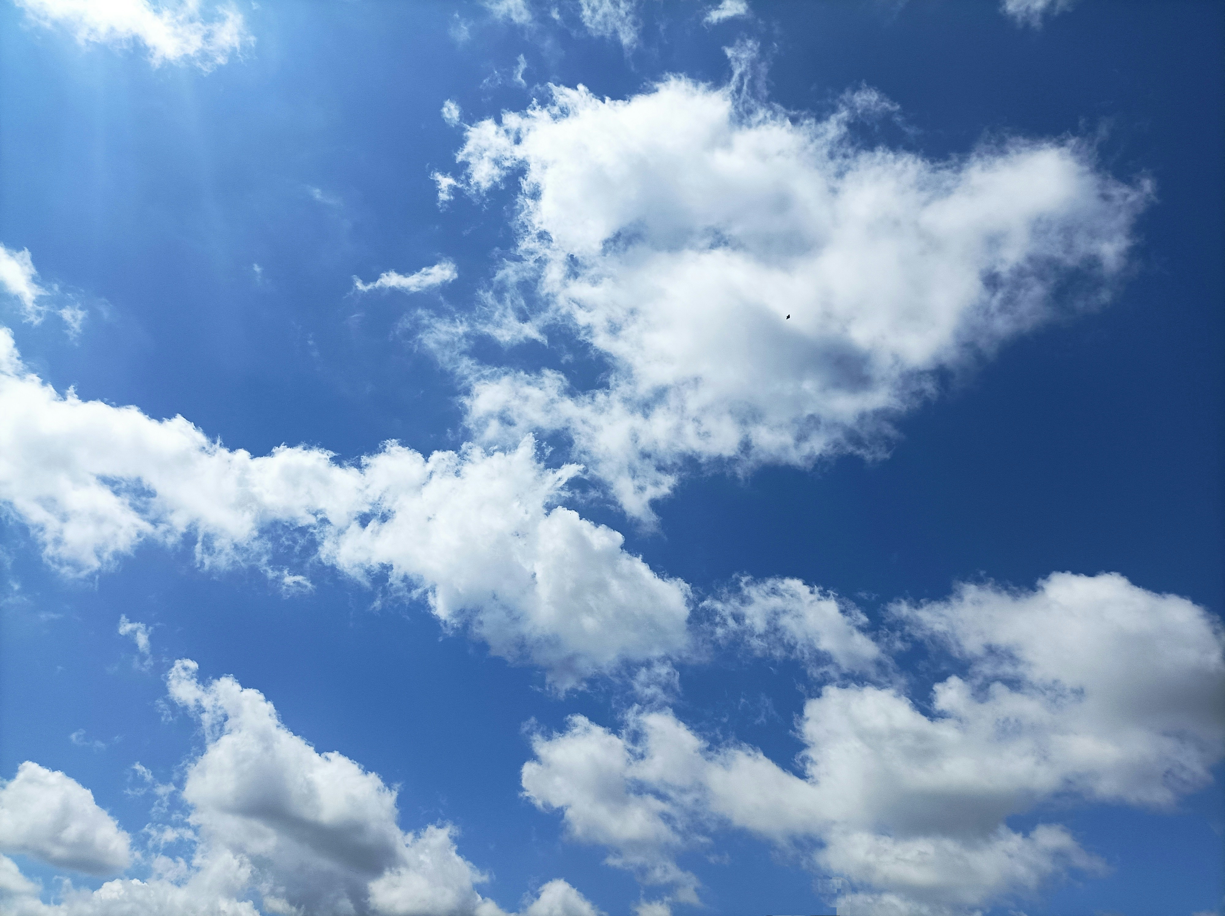 Photo by roshanmsboy420