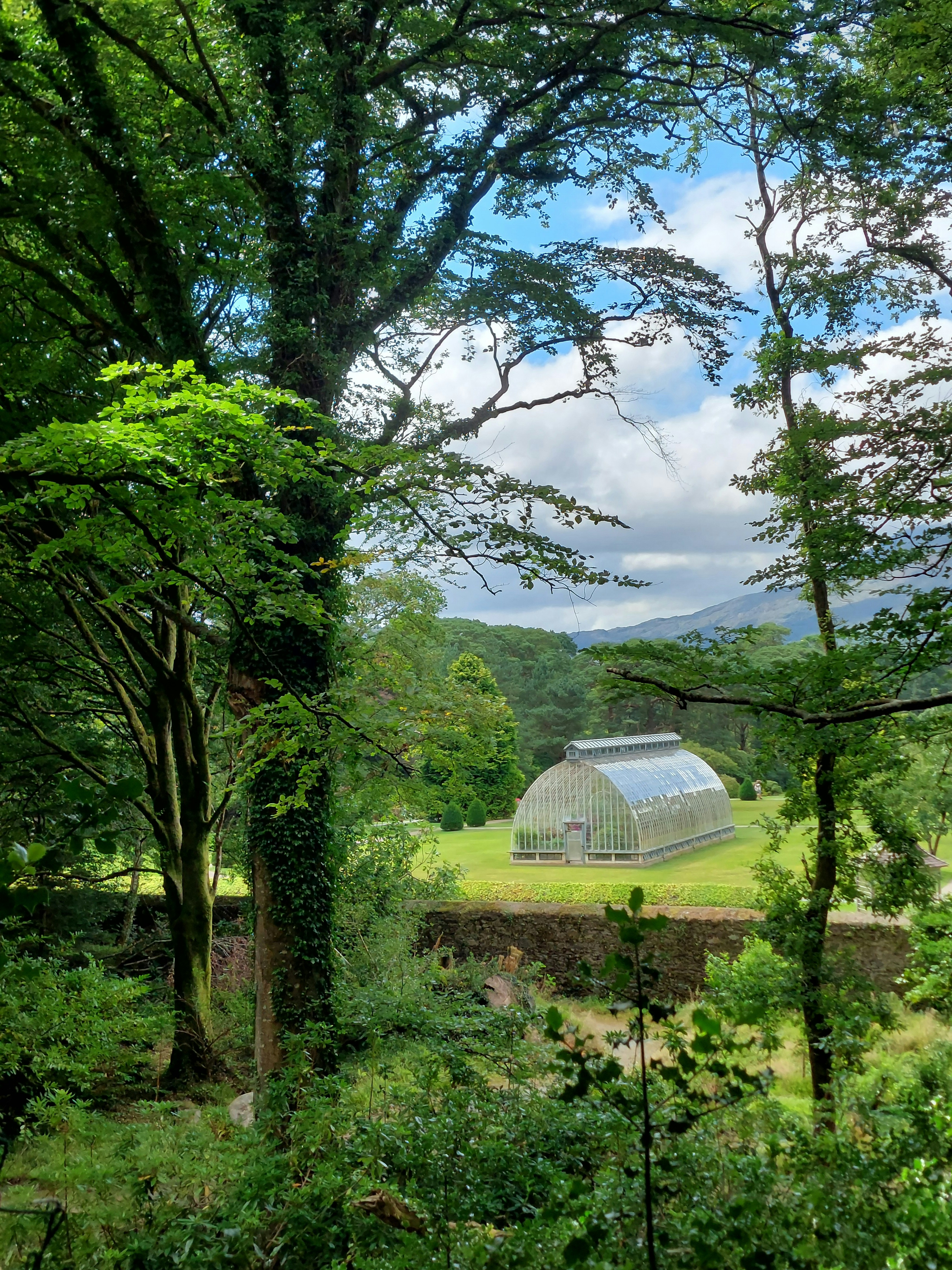 Greenhouse in a lush forest with distant mountains.