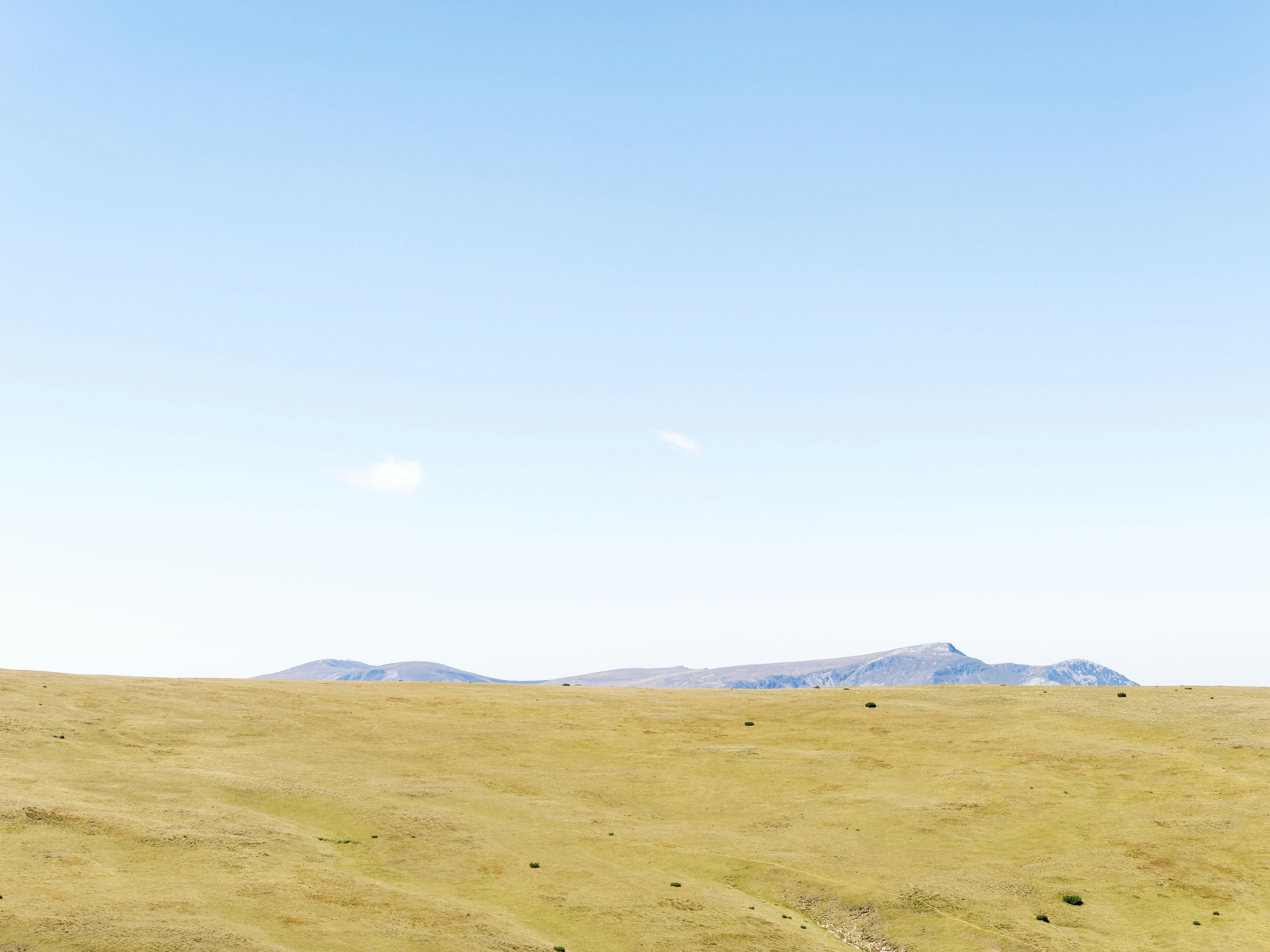 Photo by illes_cristi