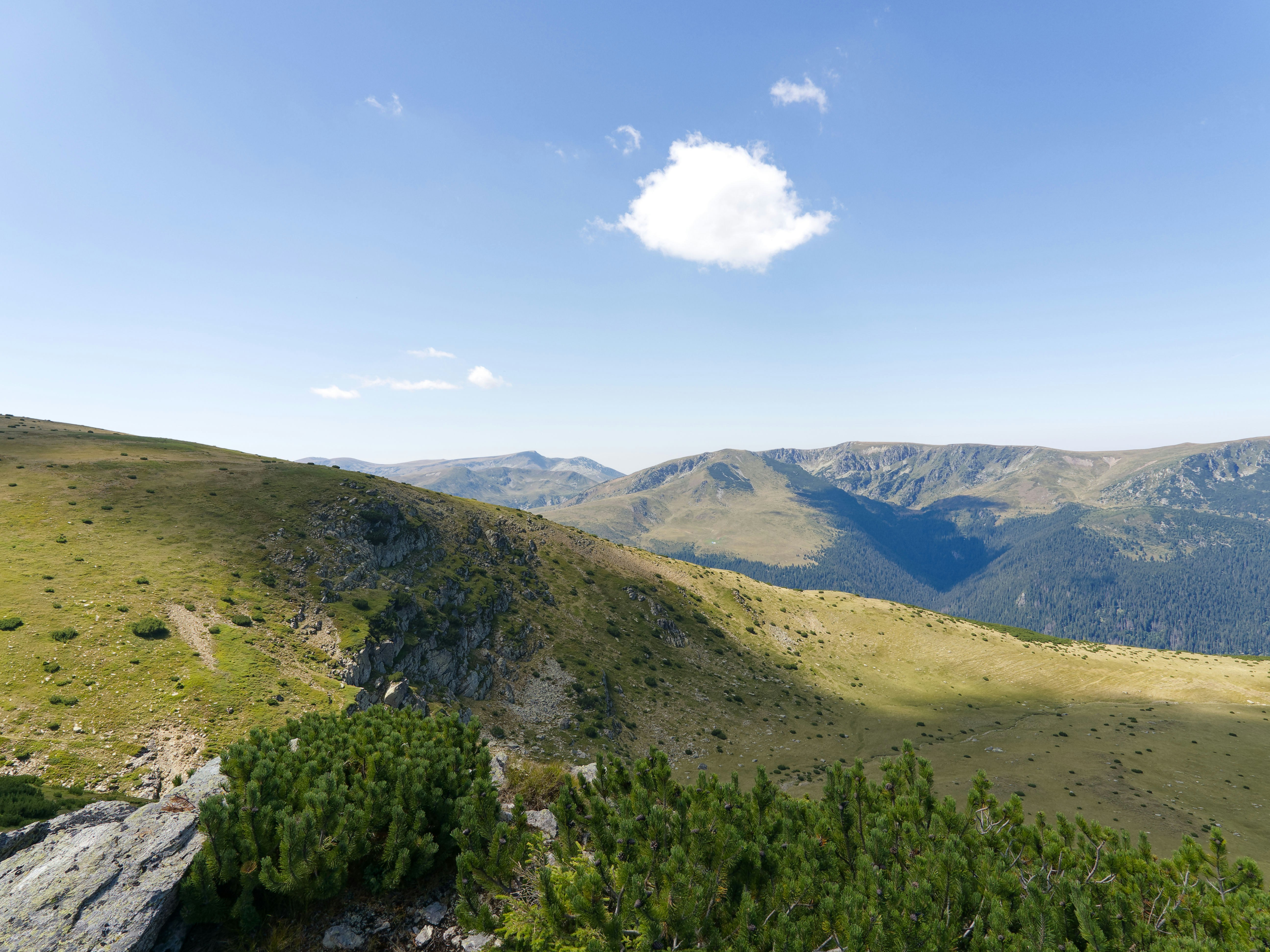 Photo by illes_cristi