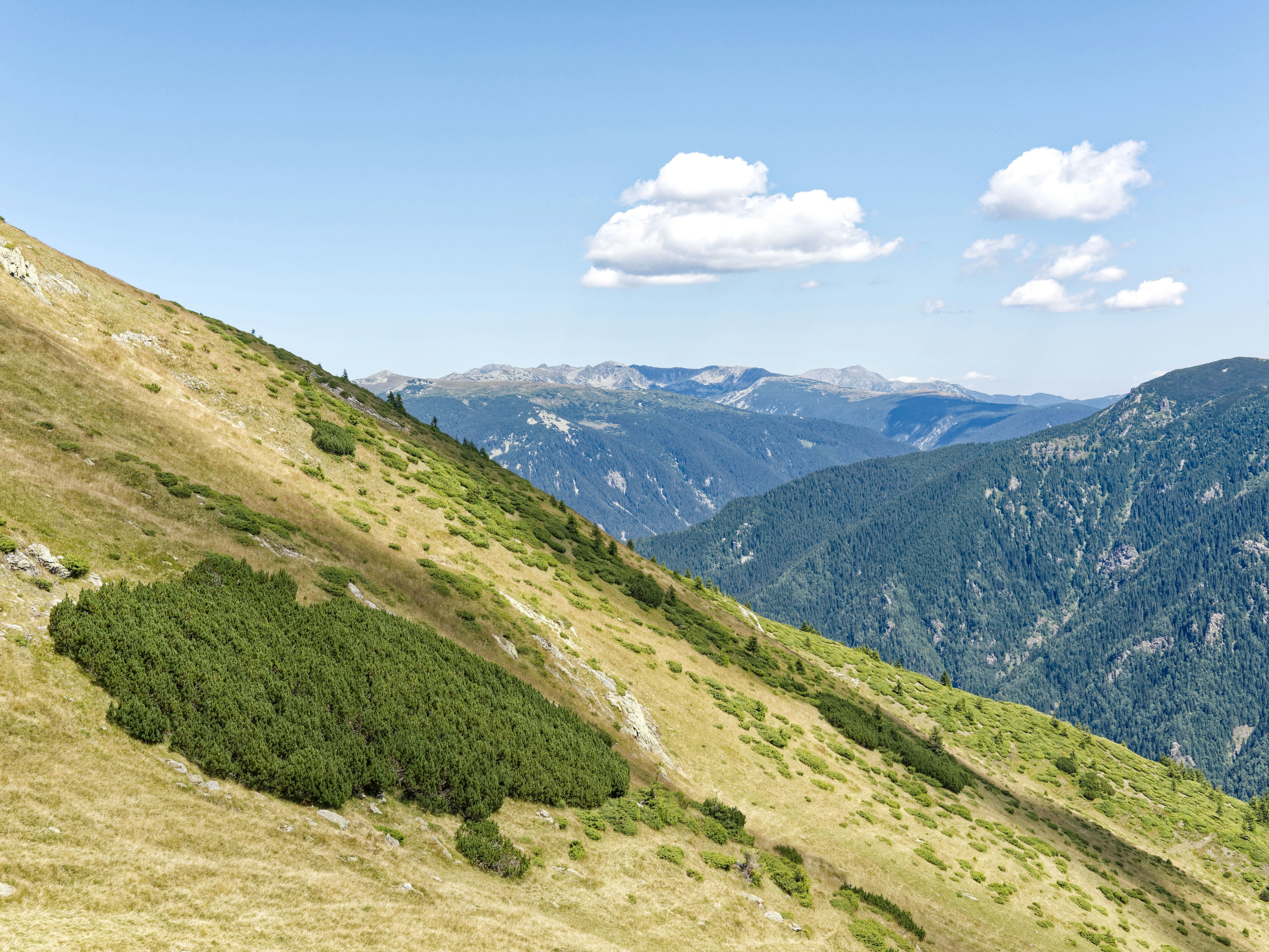 Photo by illes_cristi