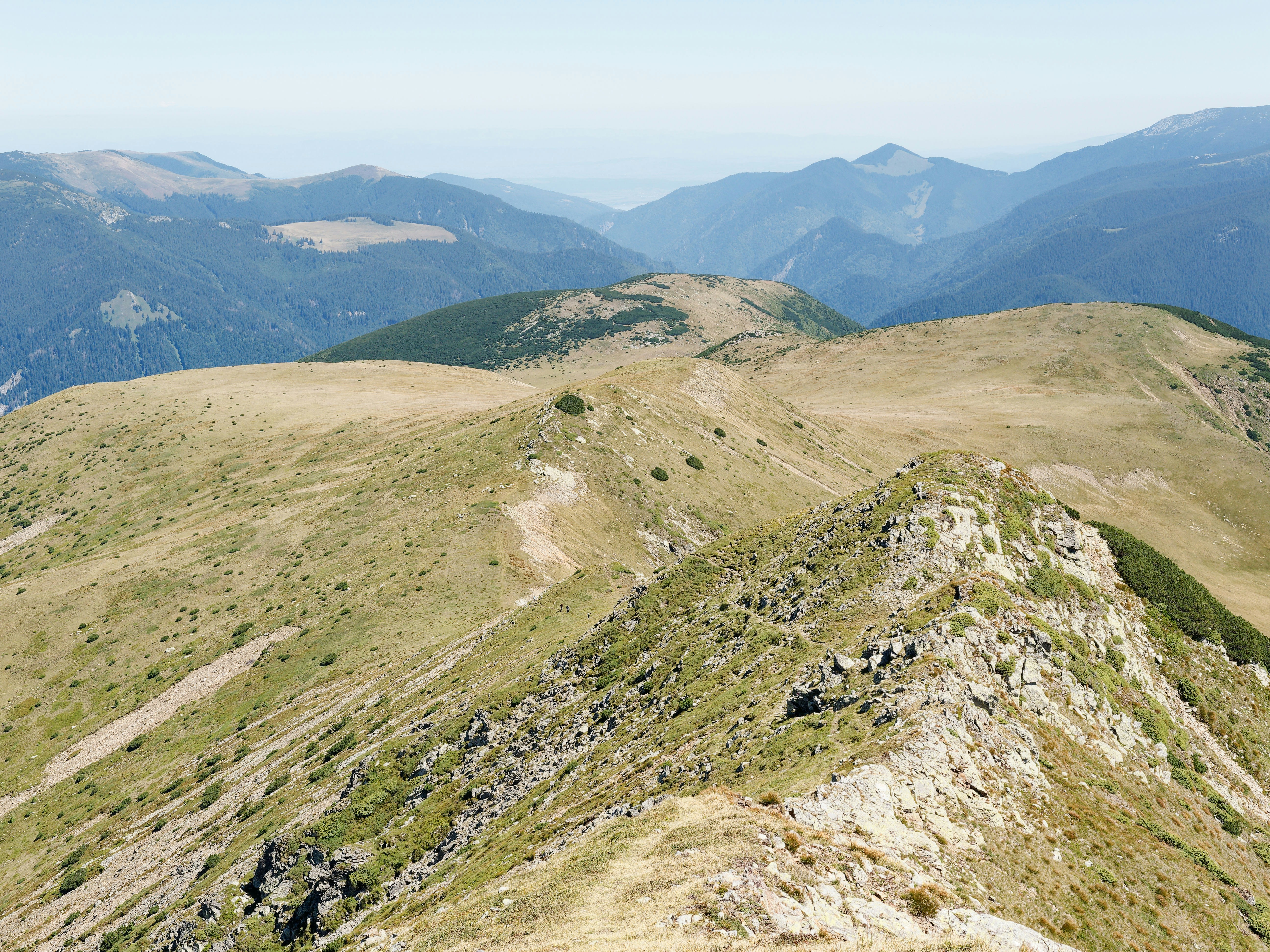 Photo by illes_cristi