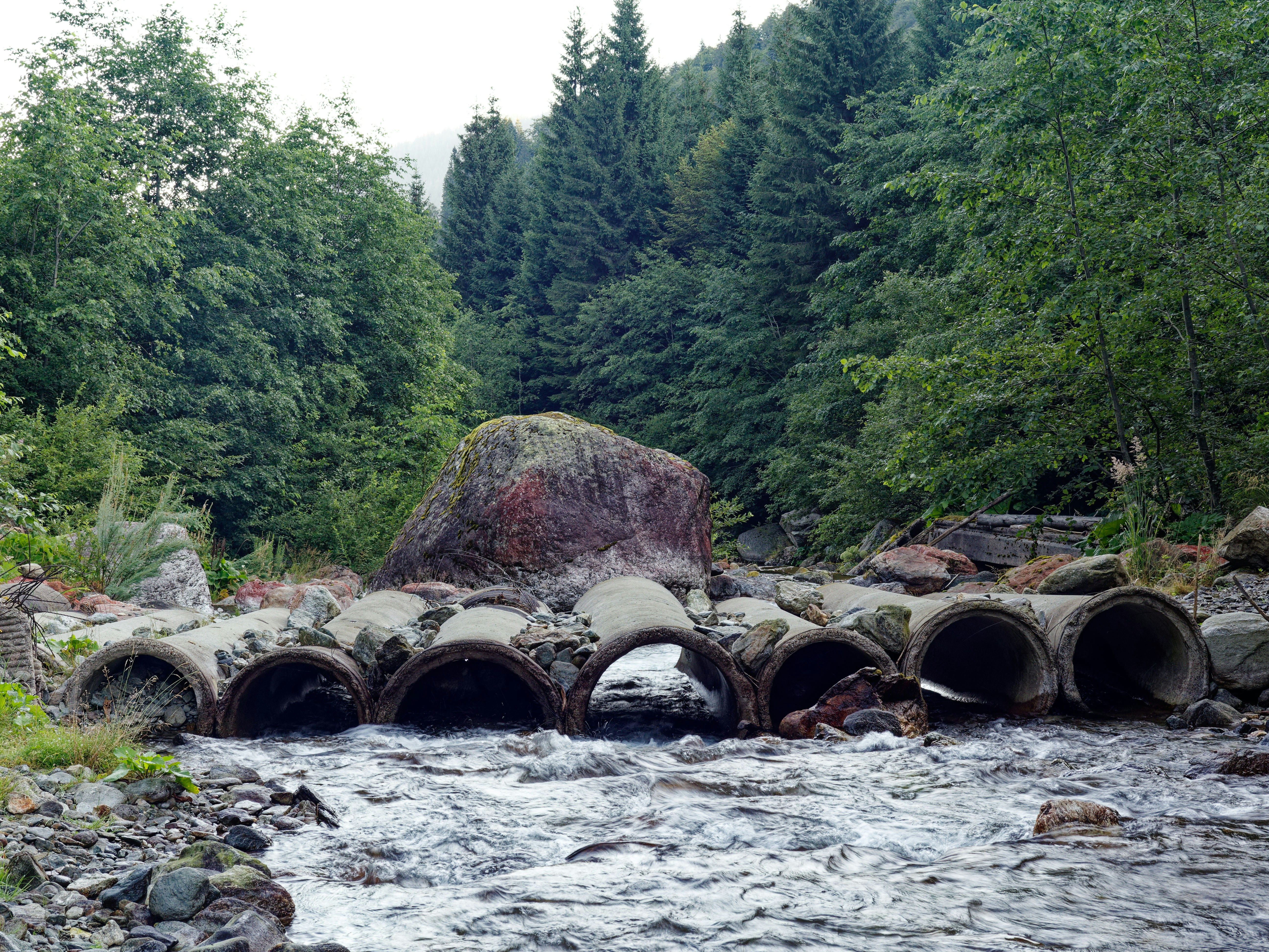 Photo by illes_cristi