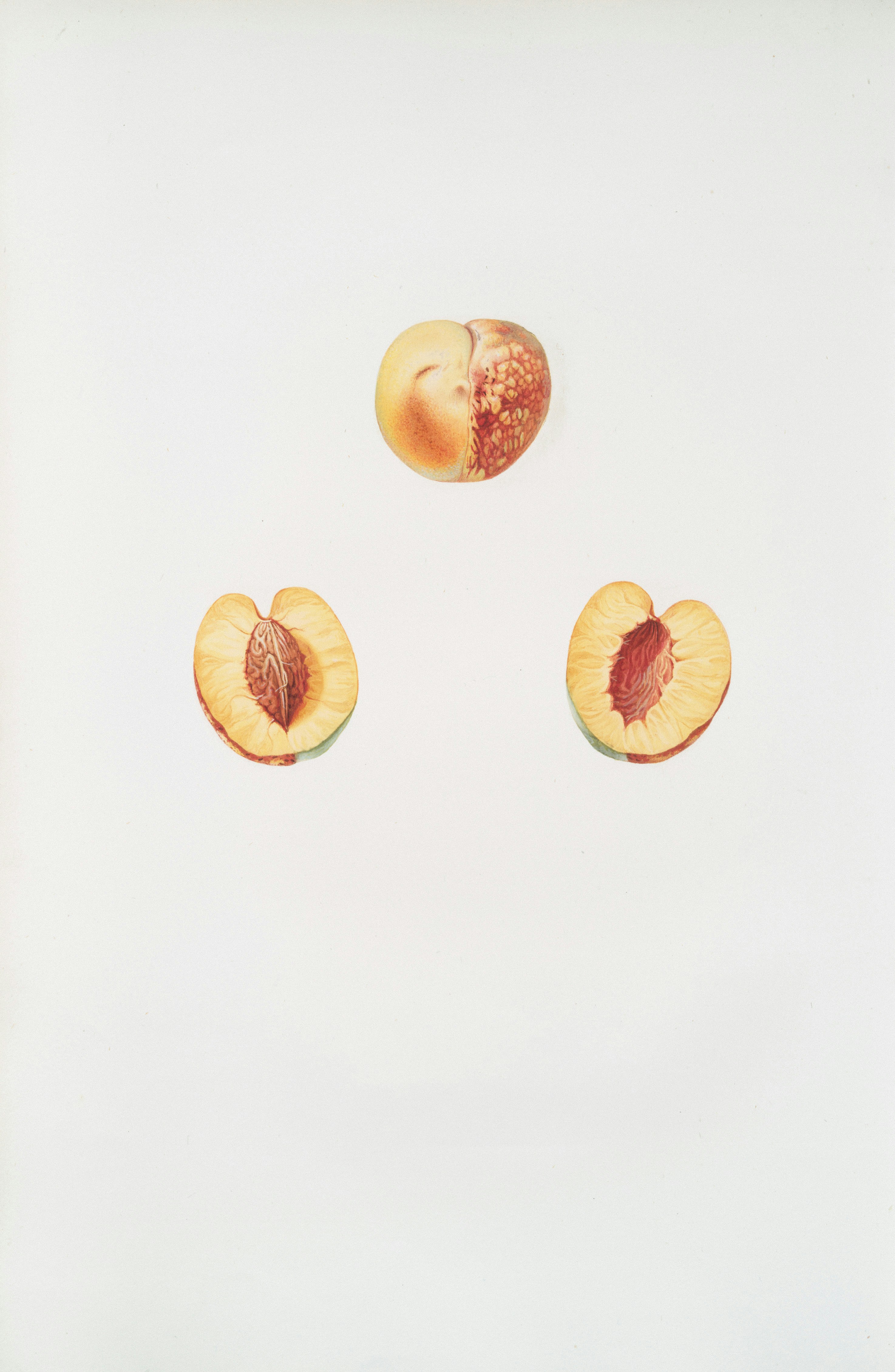A whole peach and two halves on a white background.
