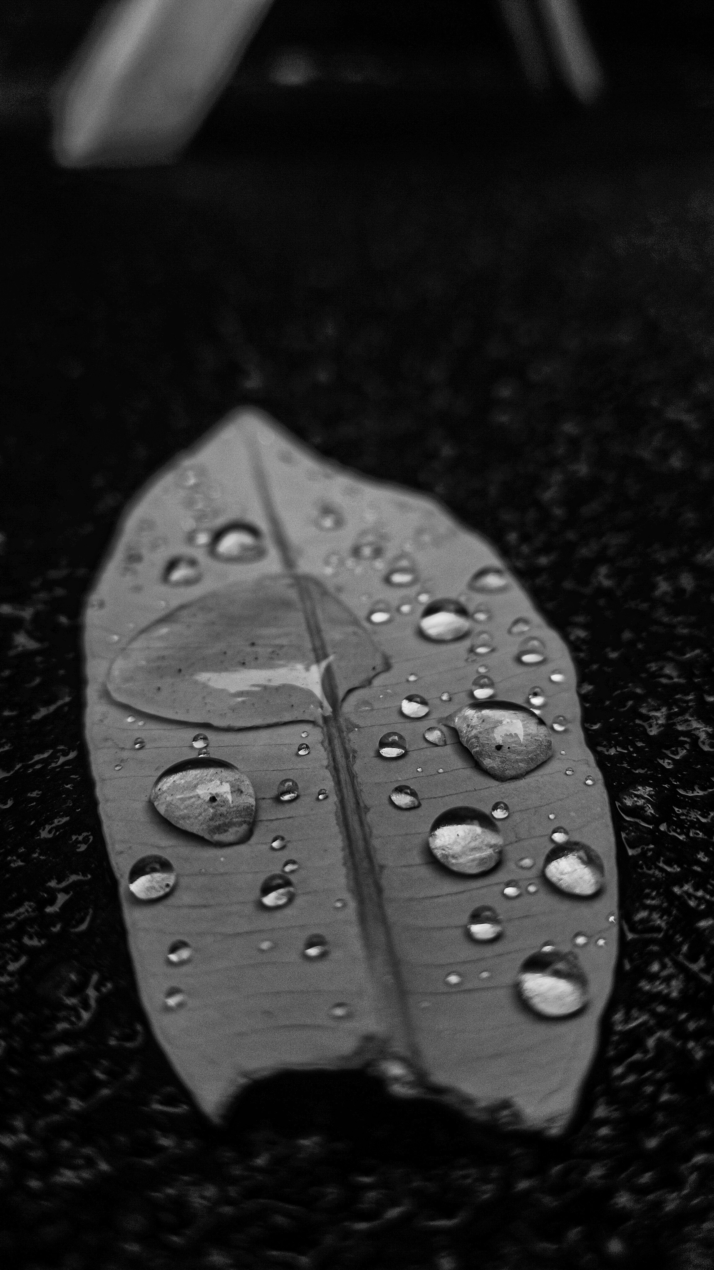 Photo by aneet_singh