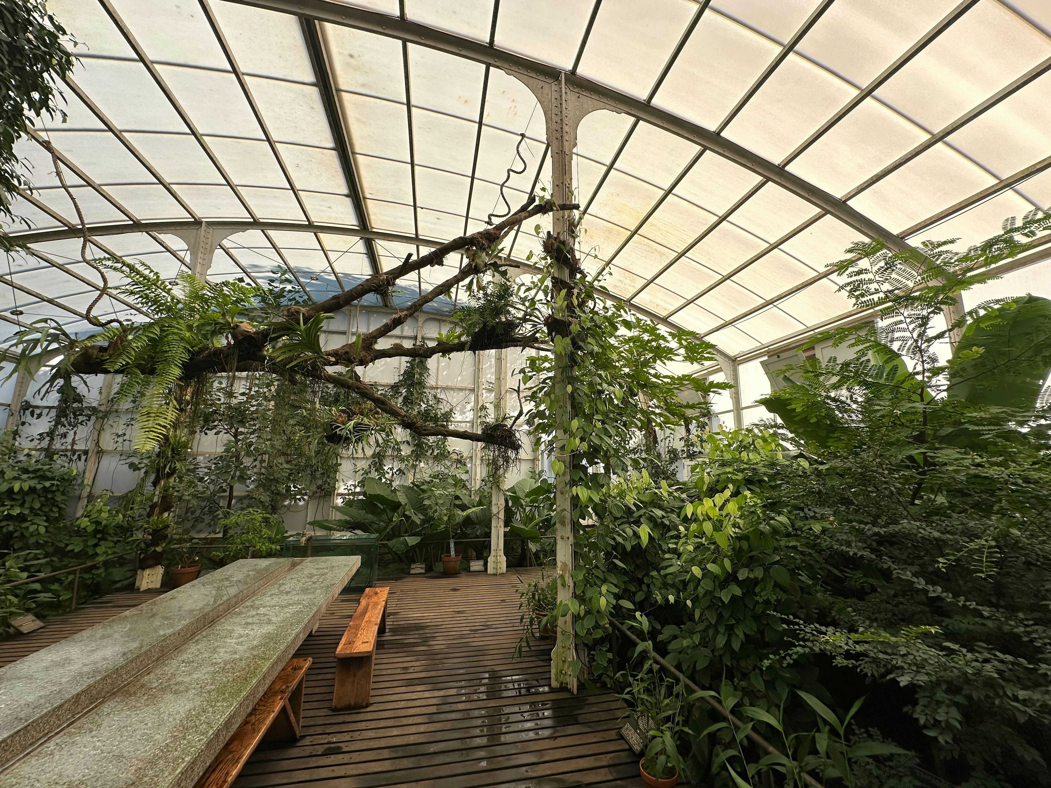 Conservatory with long table and plants